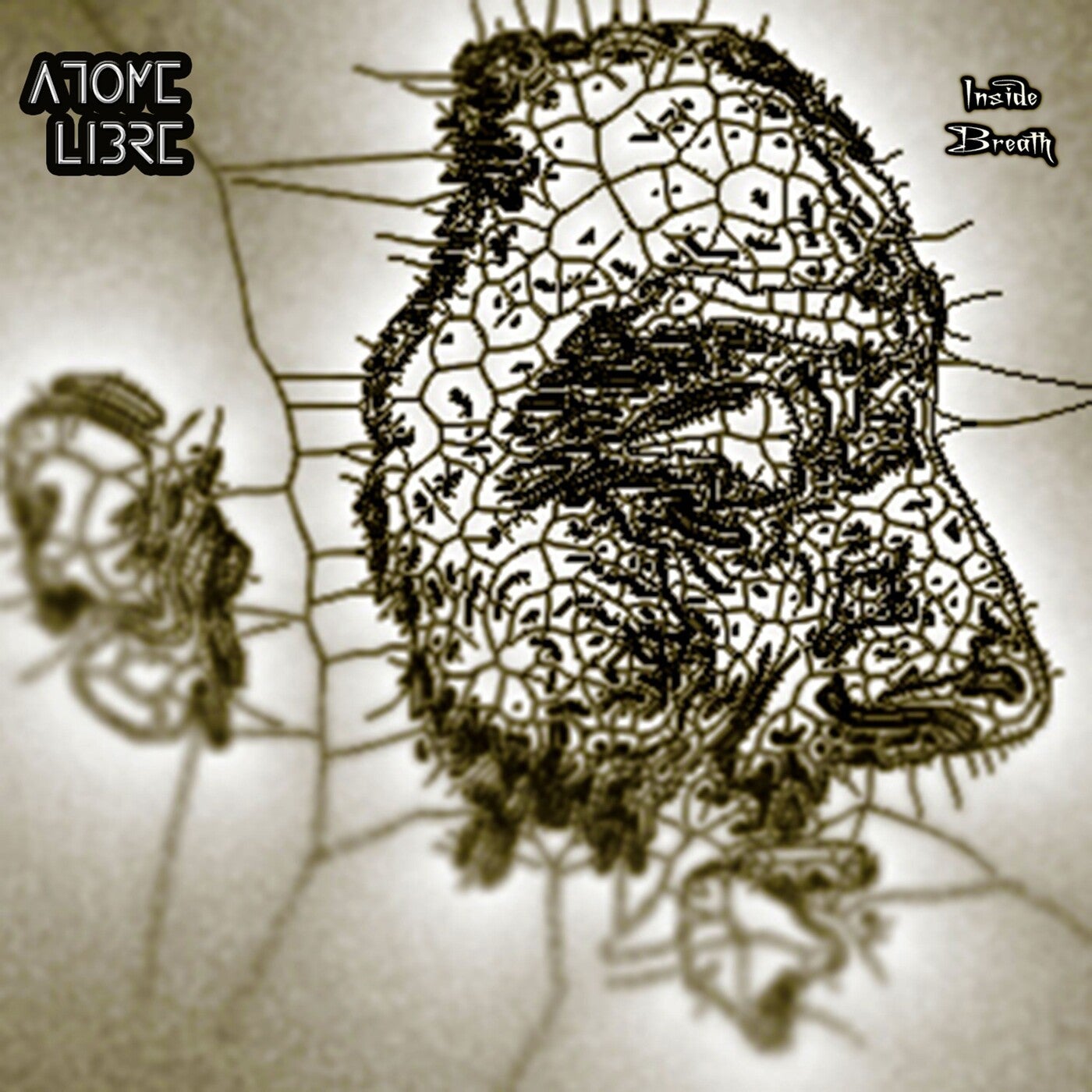 Inside Breath