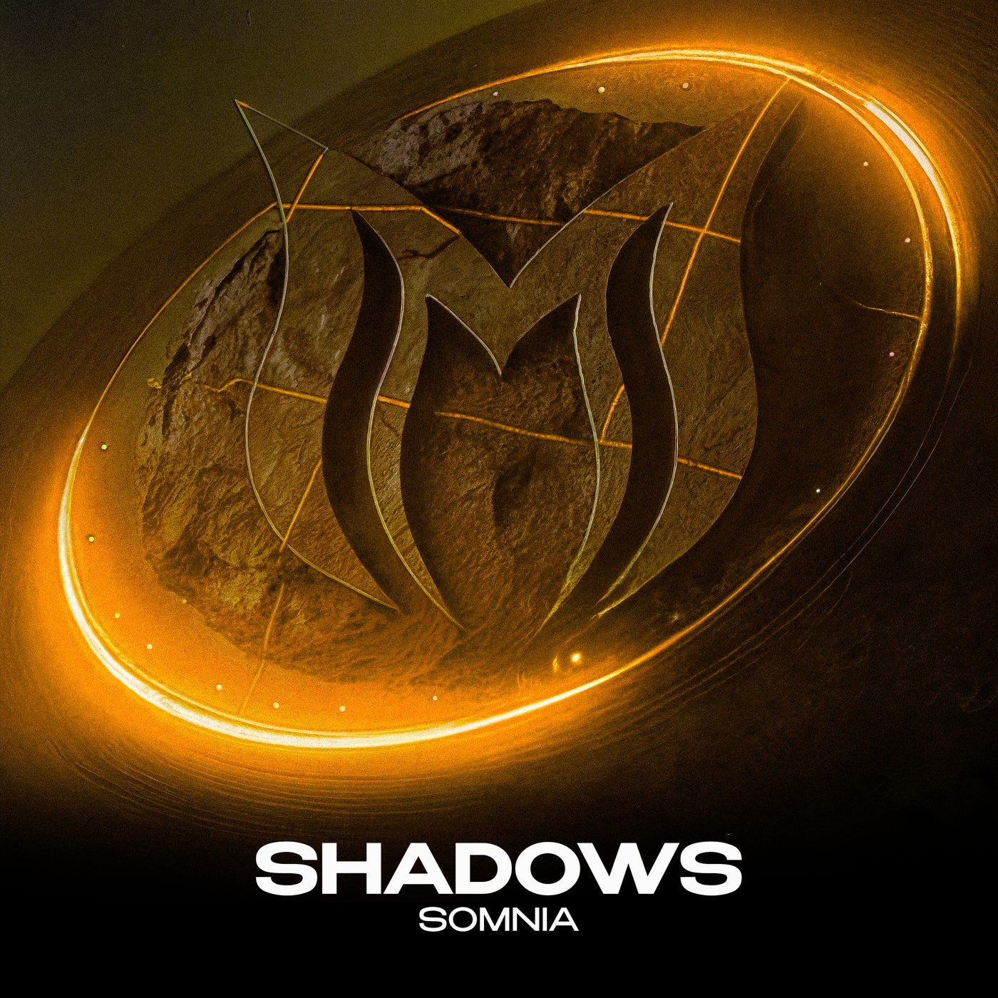 Shadows