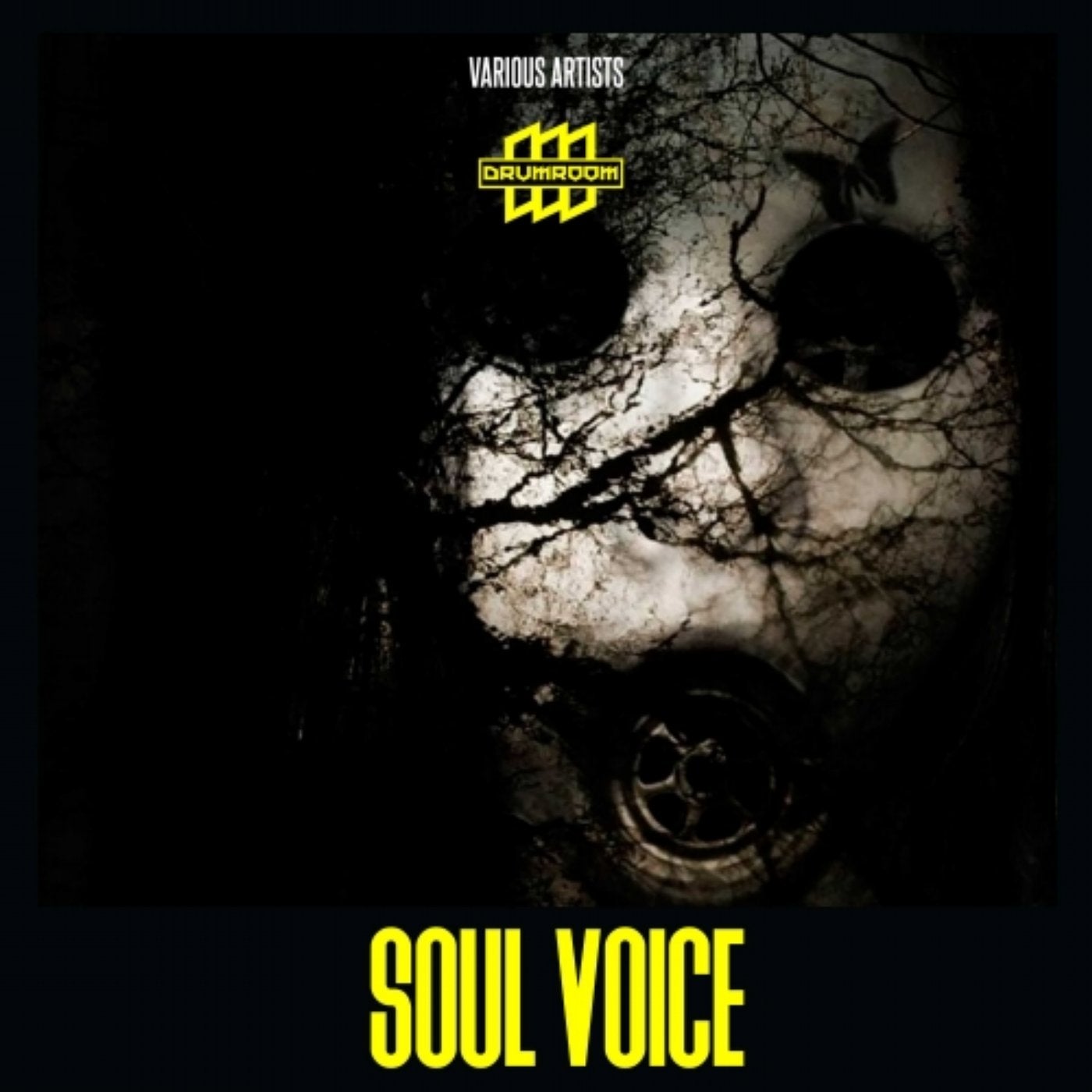 Soul Voice