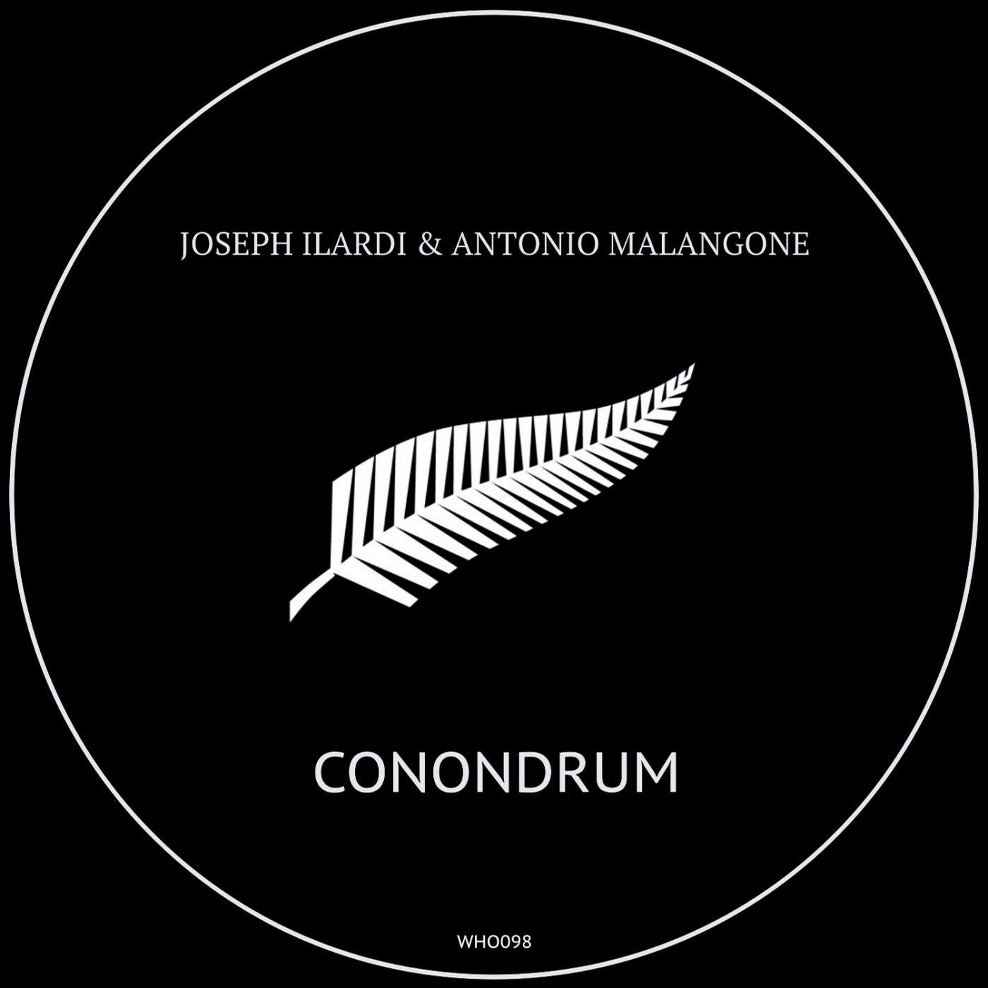 Conondrum