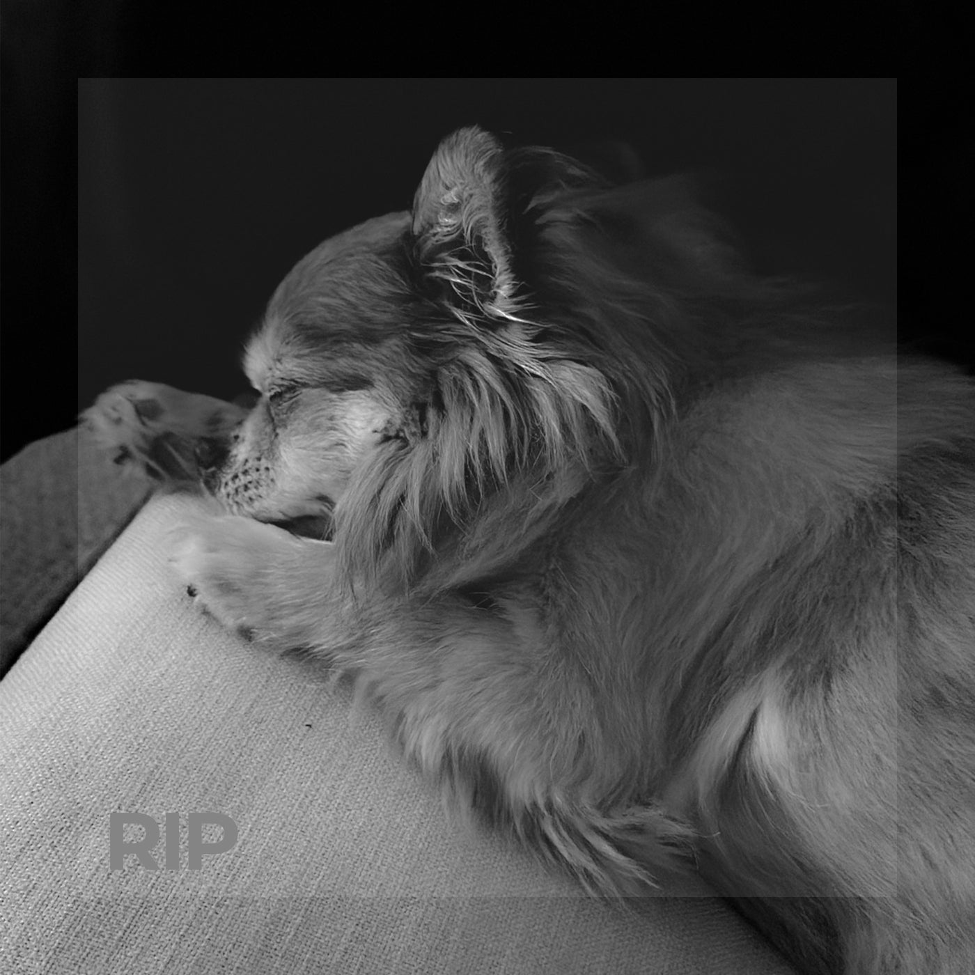 RIP