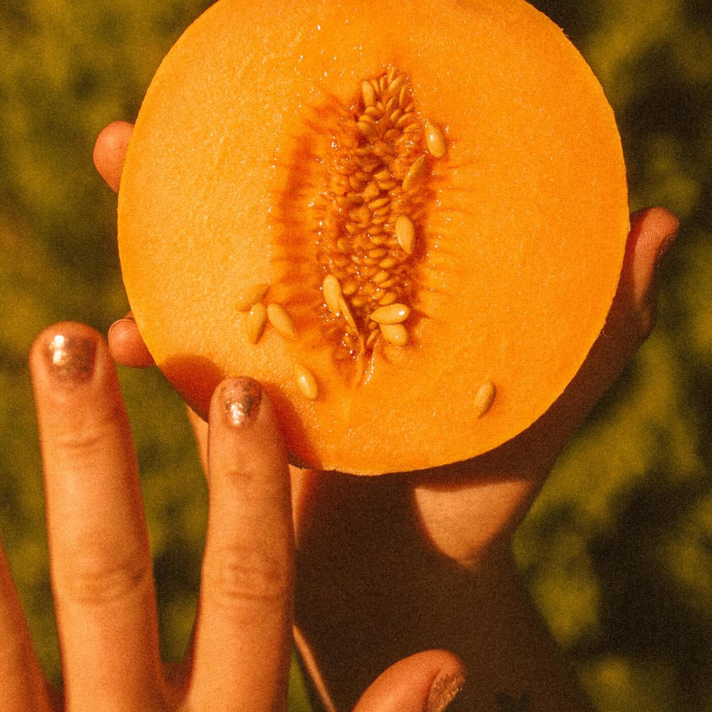 MELON GARDEN