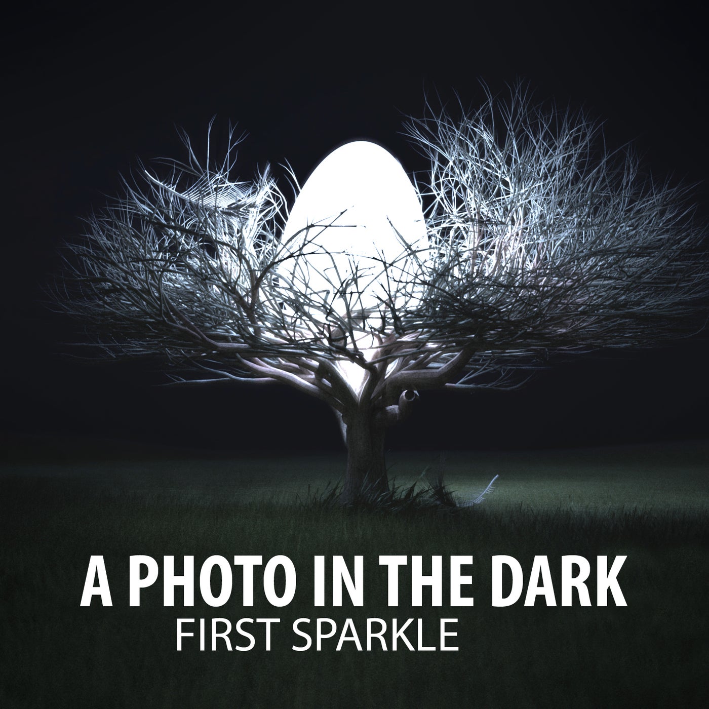 First Sparkle