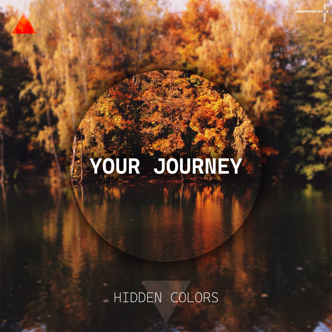 Hidden Colors