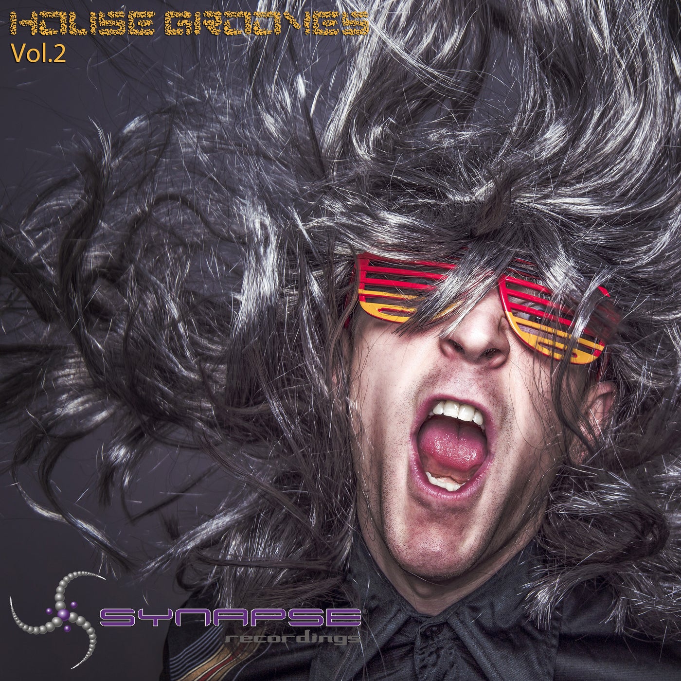 House Grooves Vol.2