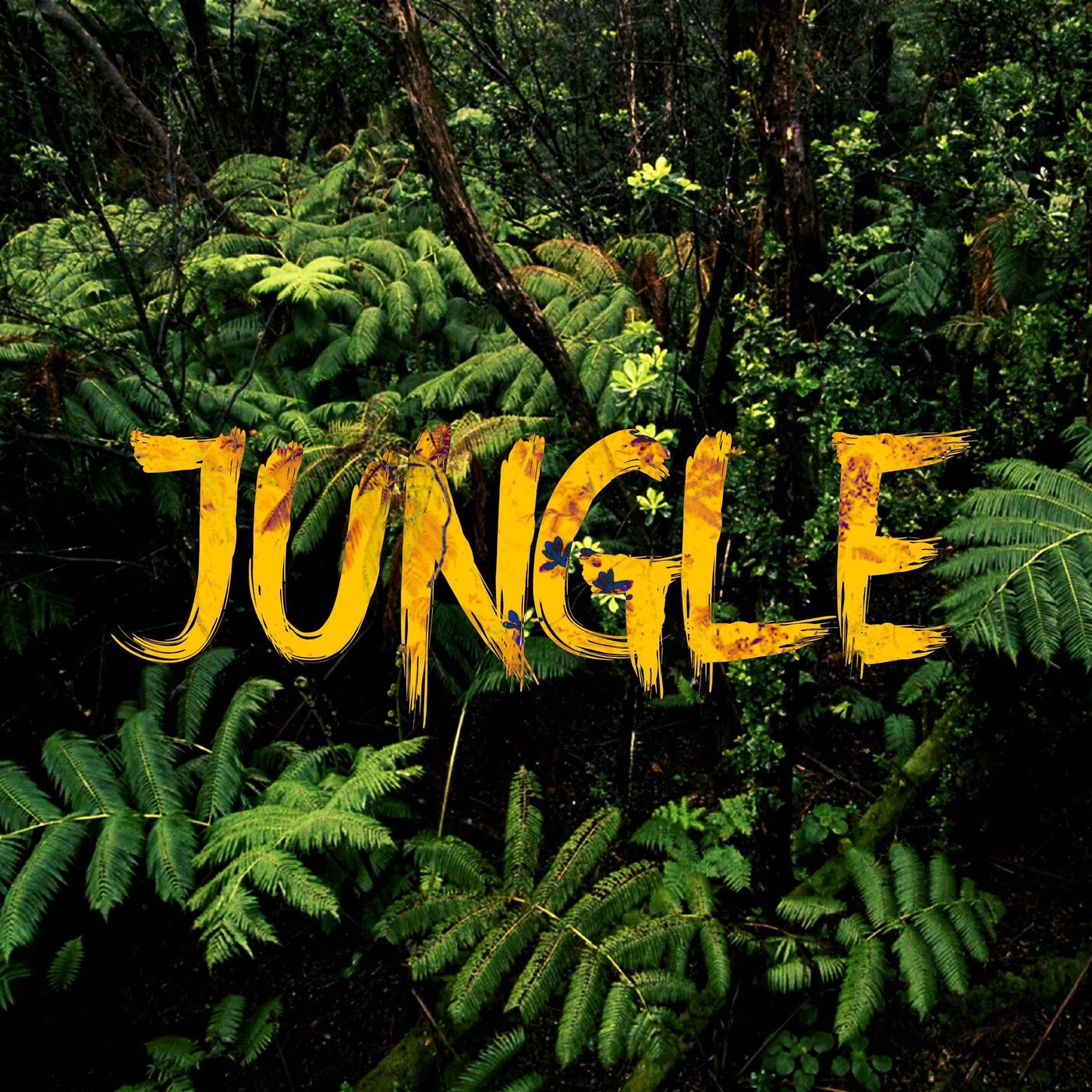 Jungle