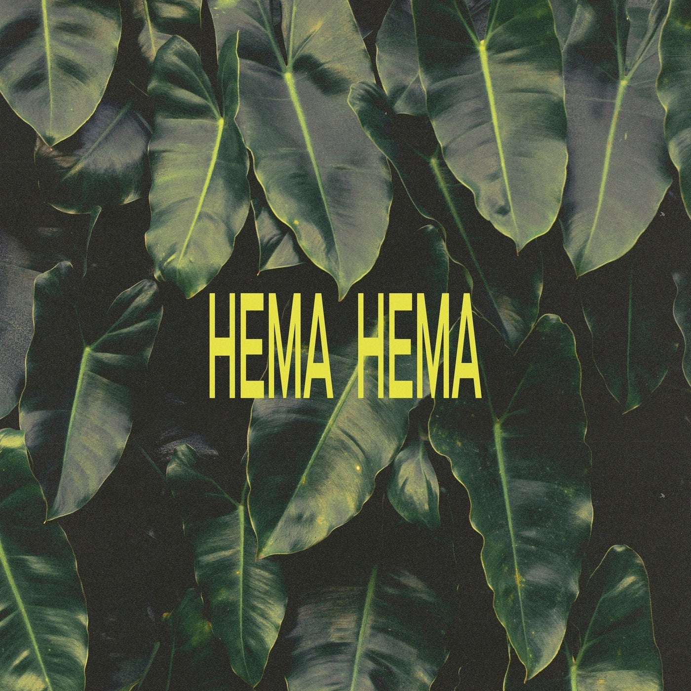 HEMA HEMA