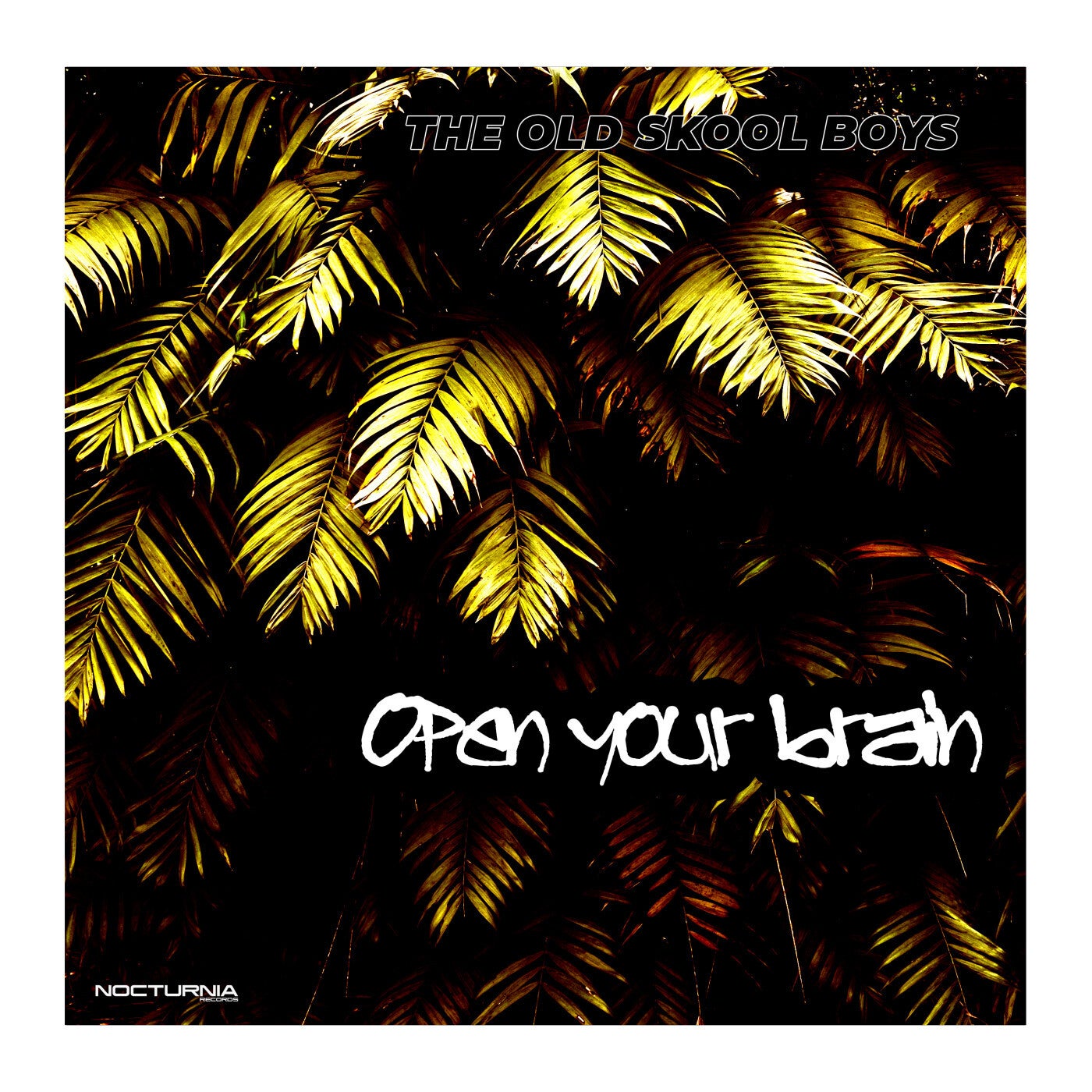 Open your brain