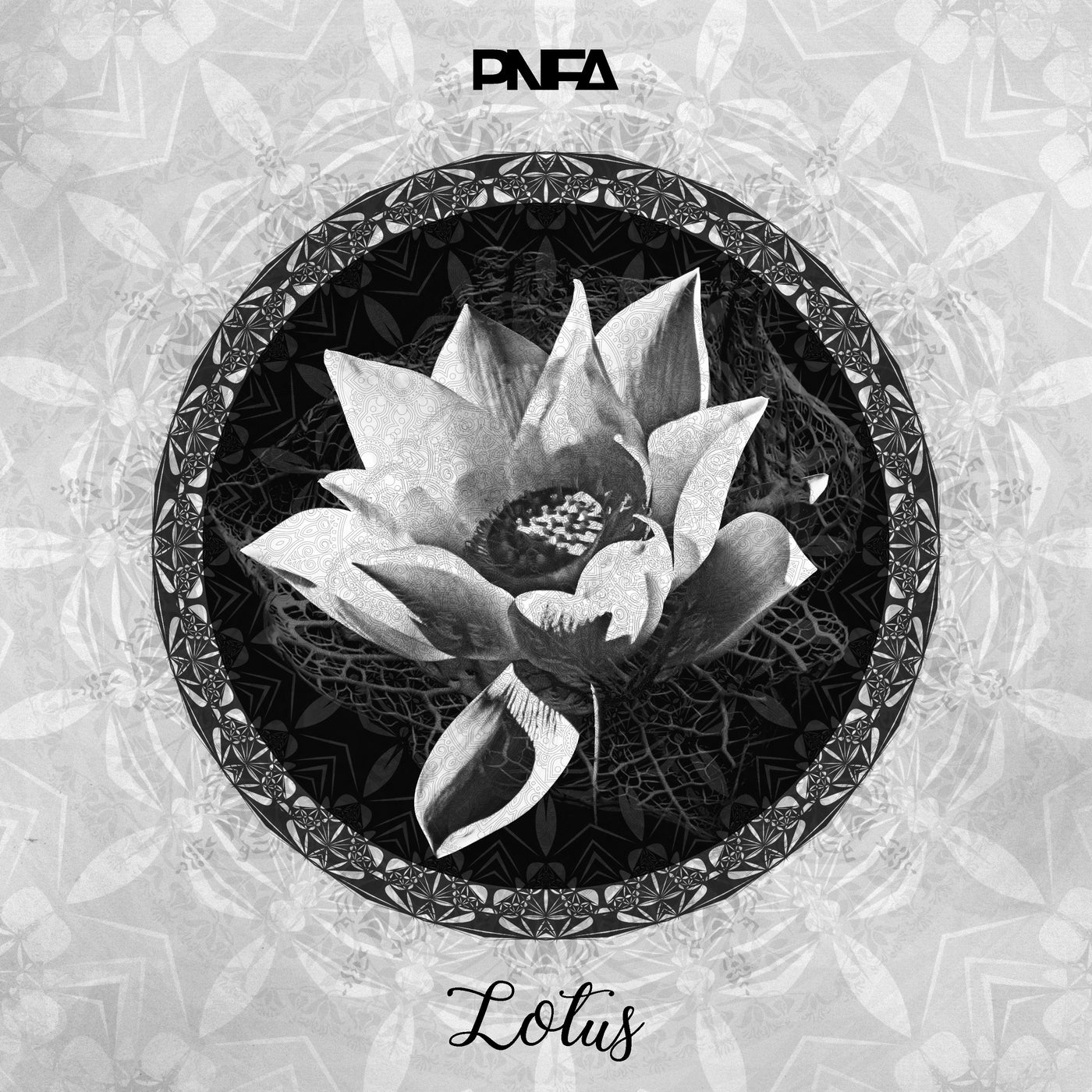 Lotus