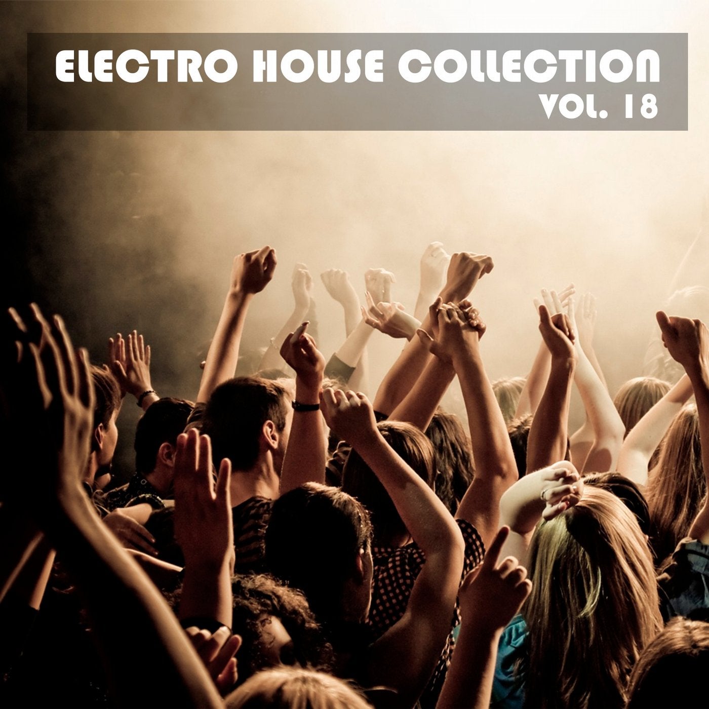 Electro House Collection, Vol. 18