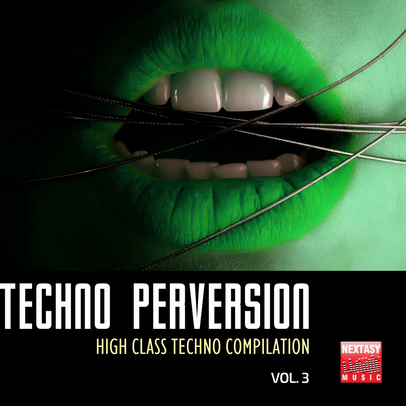 Techno Perversion, Vol. 3 (High Class Techno Compilation)
