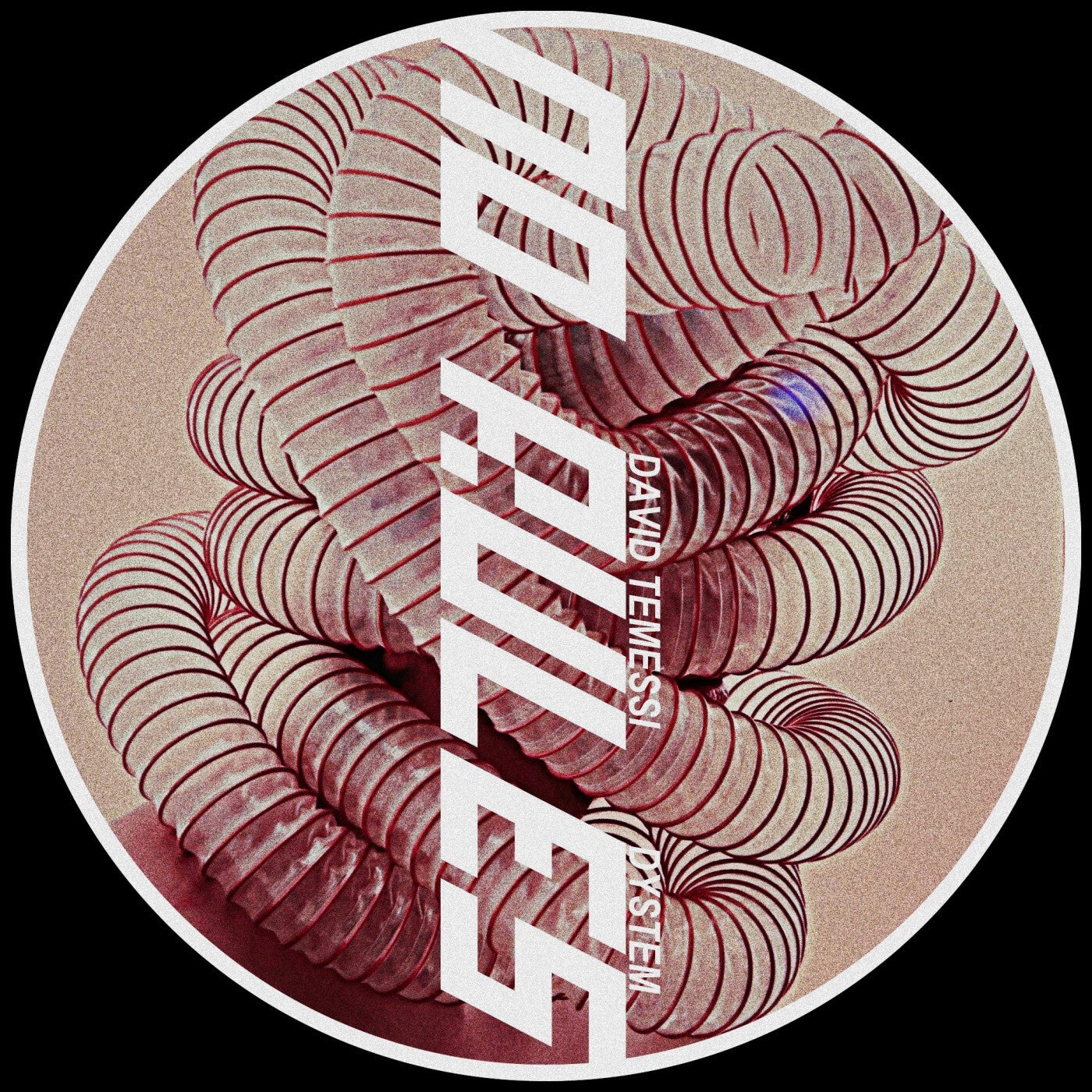 Cover art for No Rules