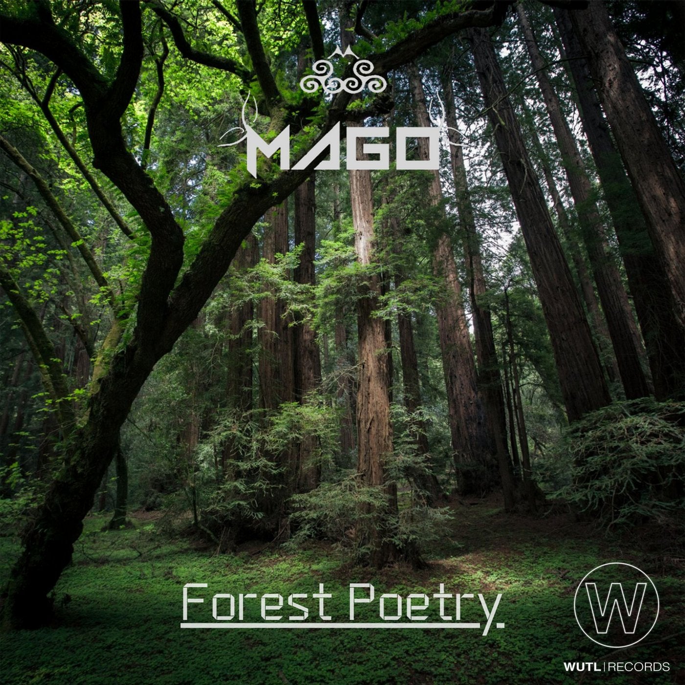 Forest Poetry