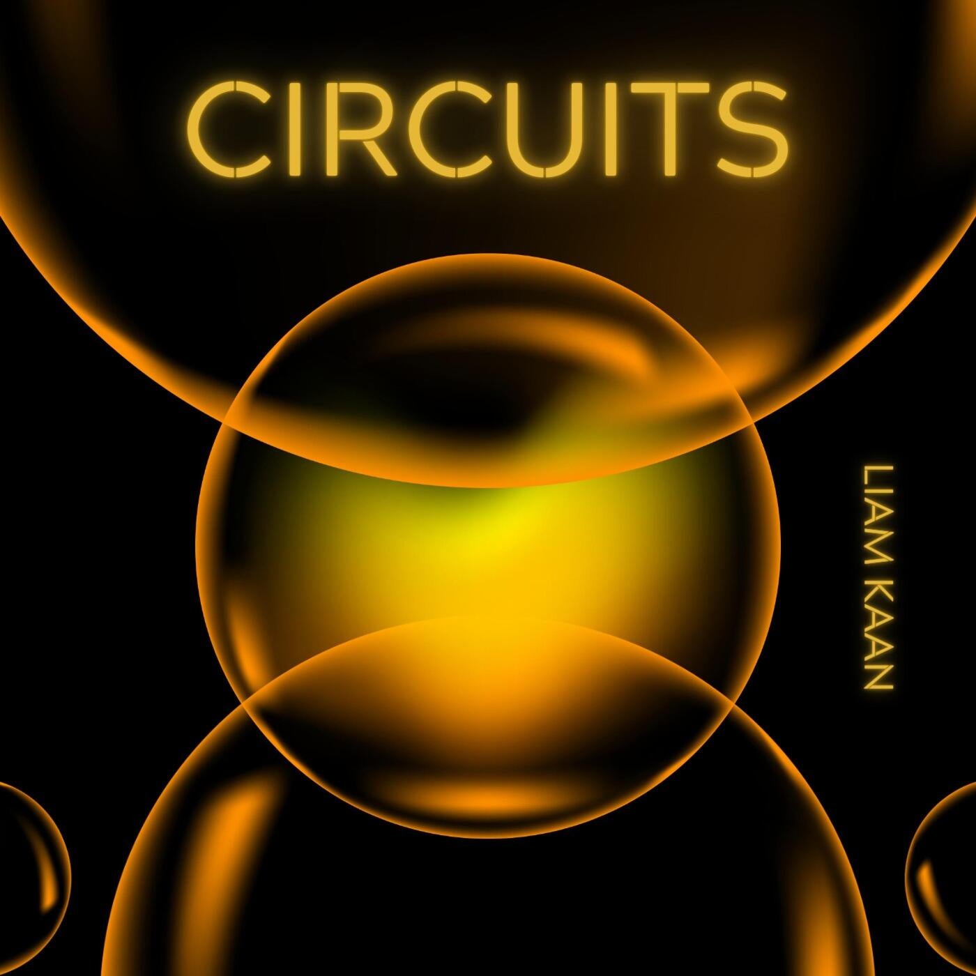 Circuits