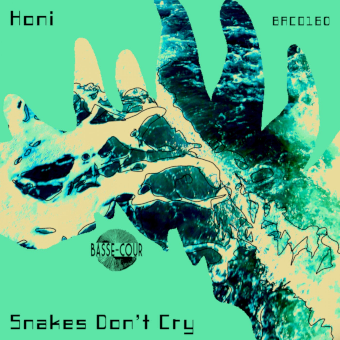 Snakes Don't Cry