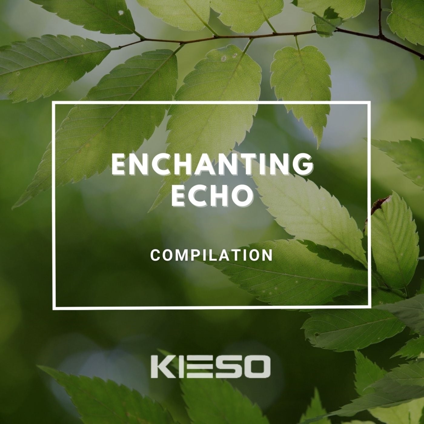 Enchanting Echo