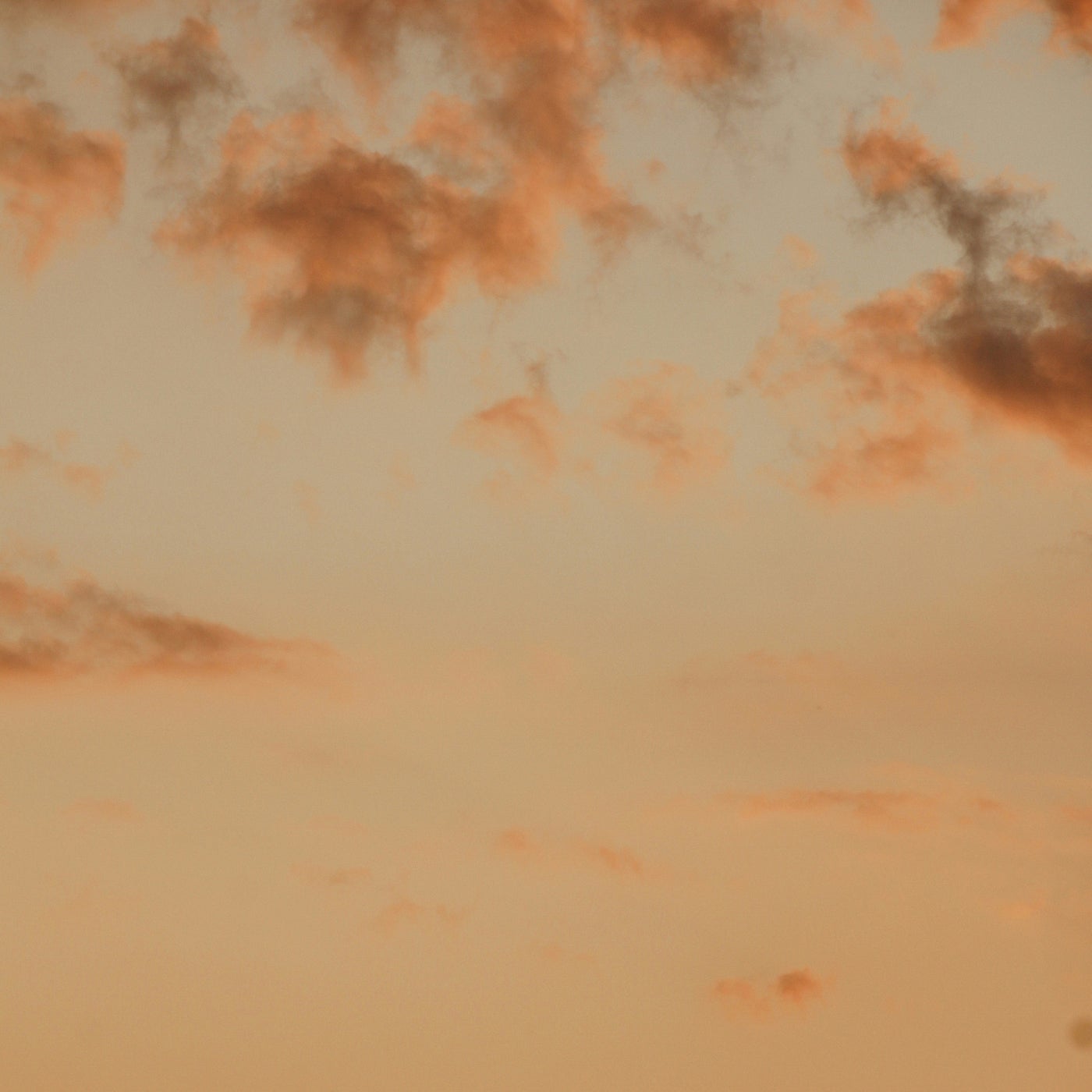 Golden Hour