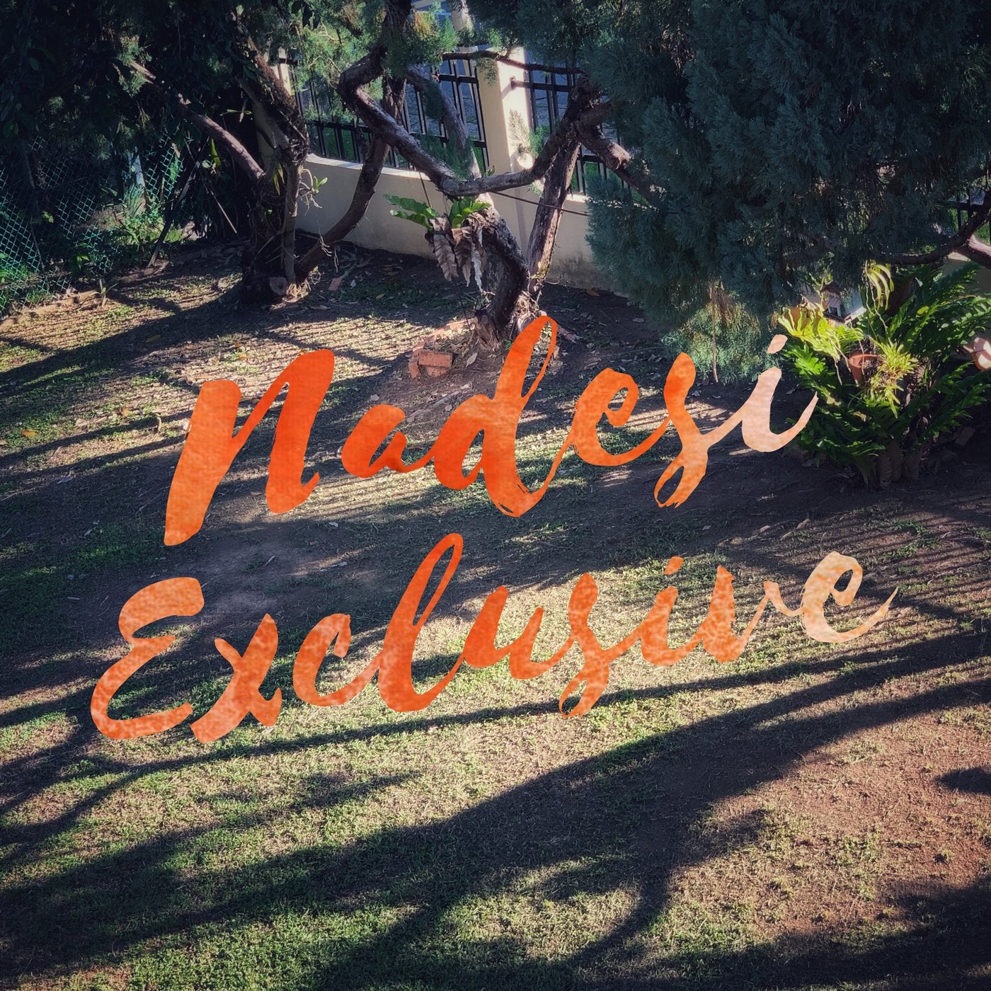 Exclusive