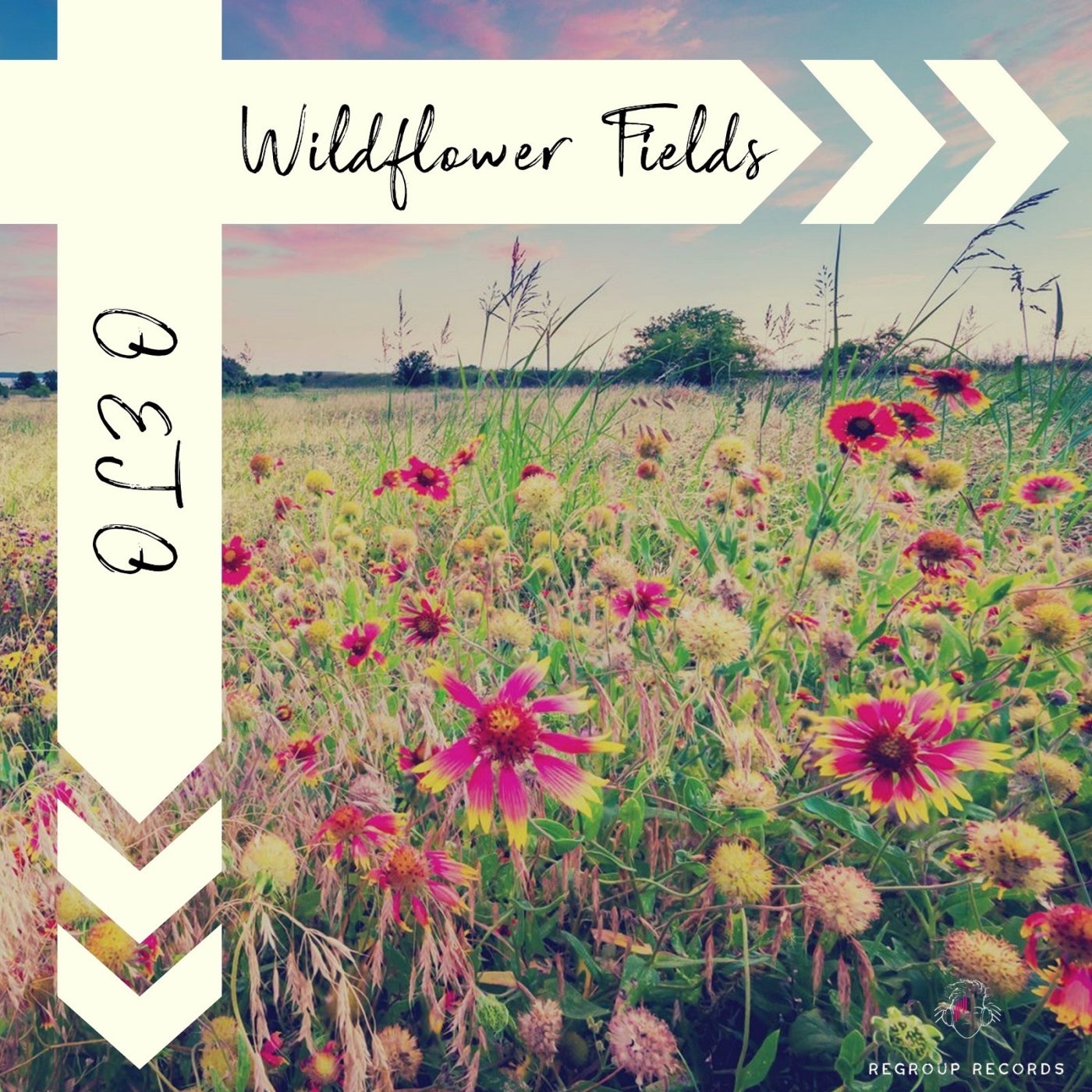 Wildflower Fields