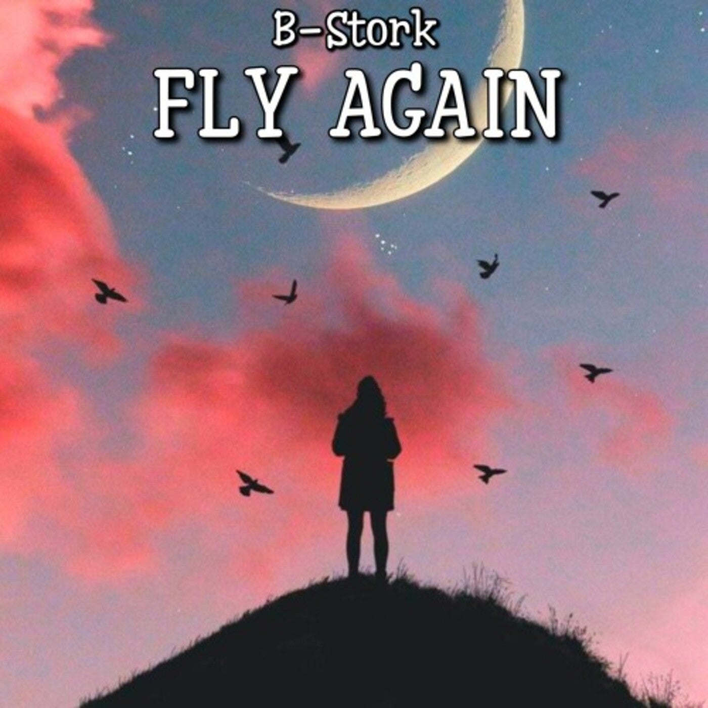 Fly Again