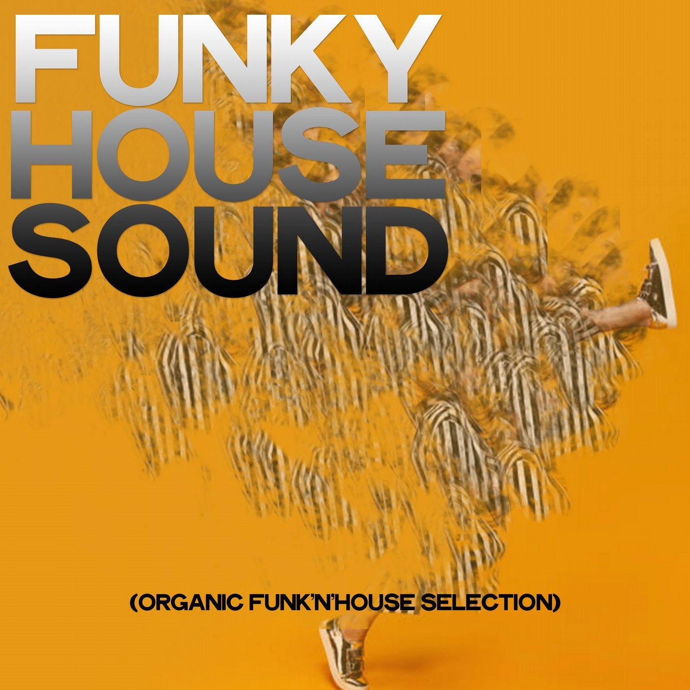 Funky House Sound (Organic Funk'n'house Selection)