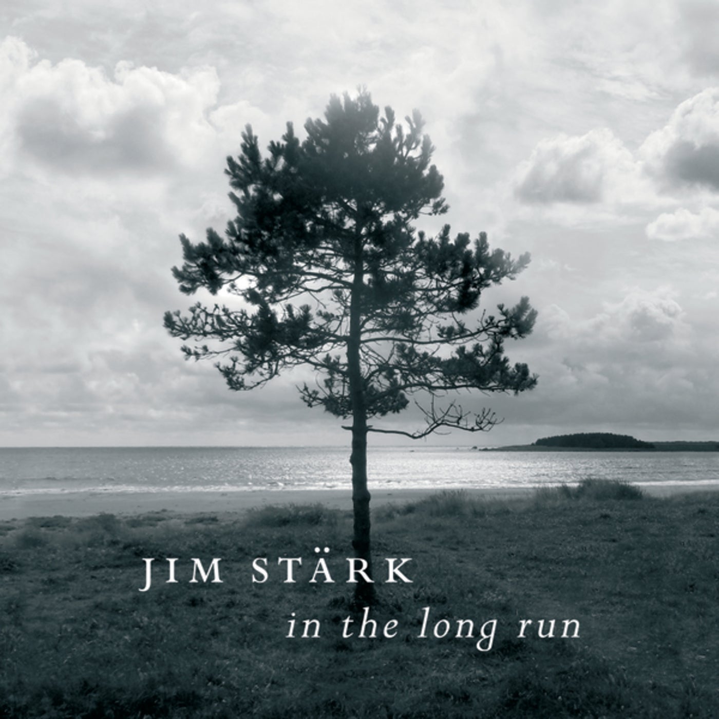 In The Long Run