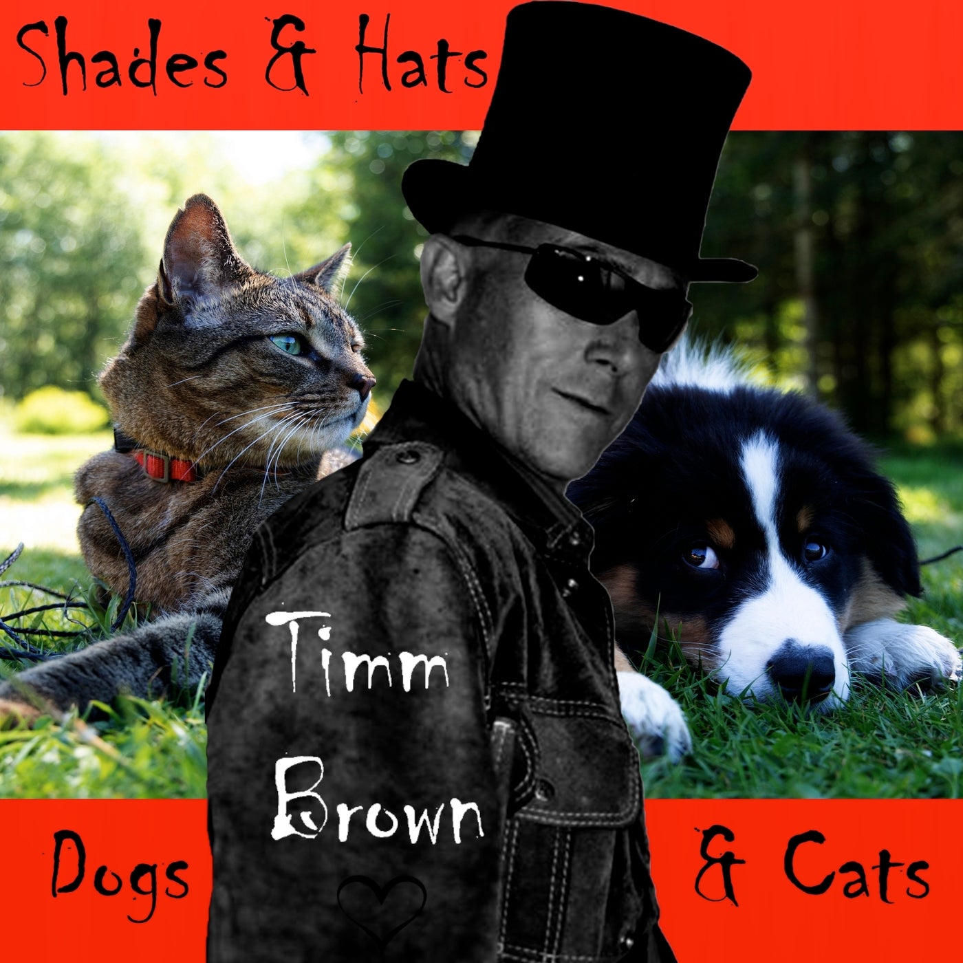 Shades and Hats Dogs and Cats