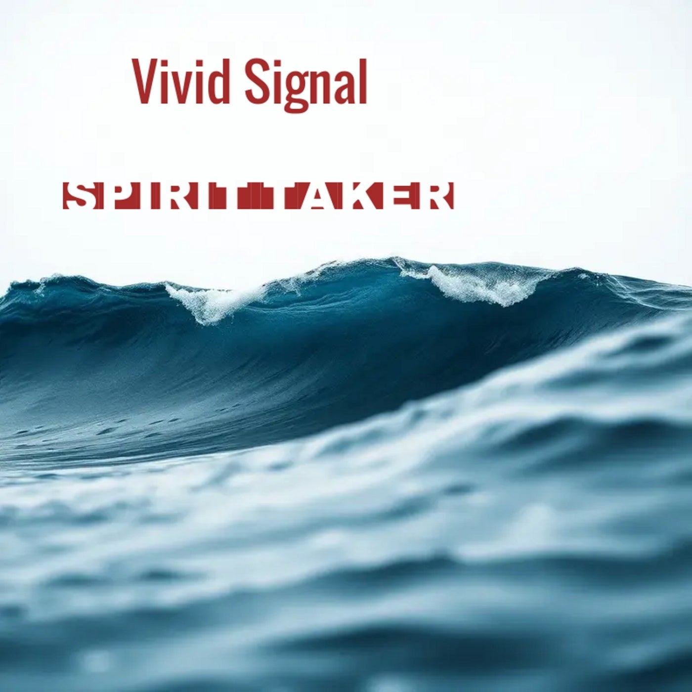 Vivid Signal
