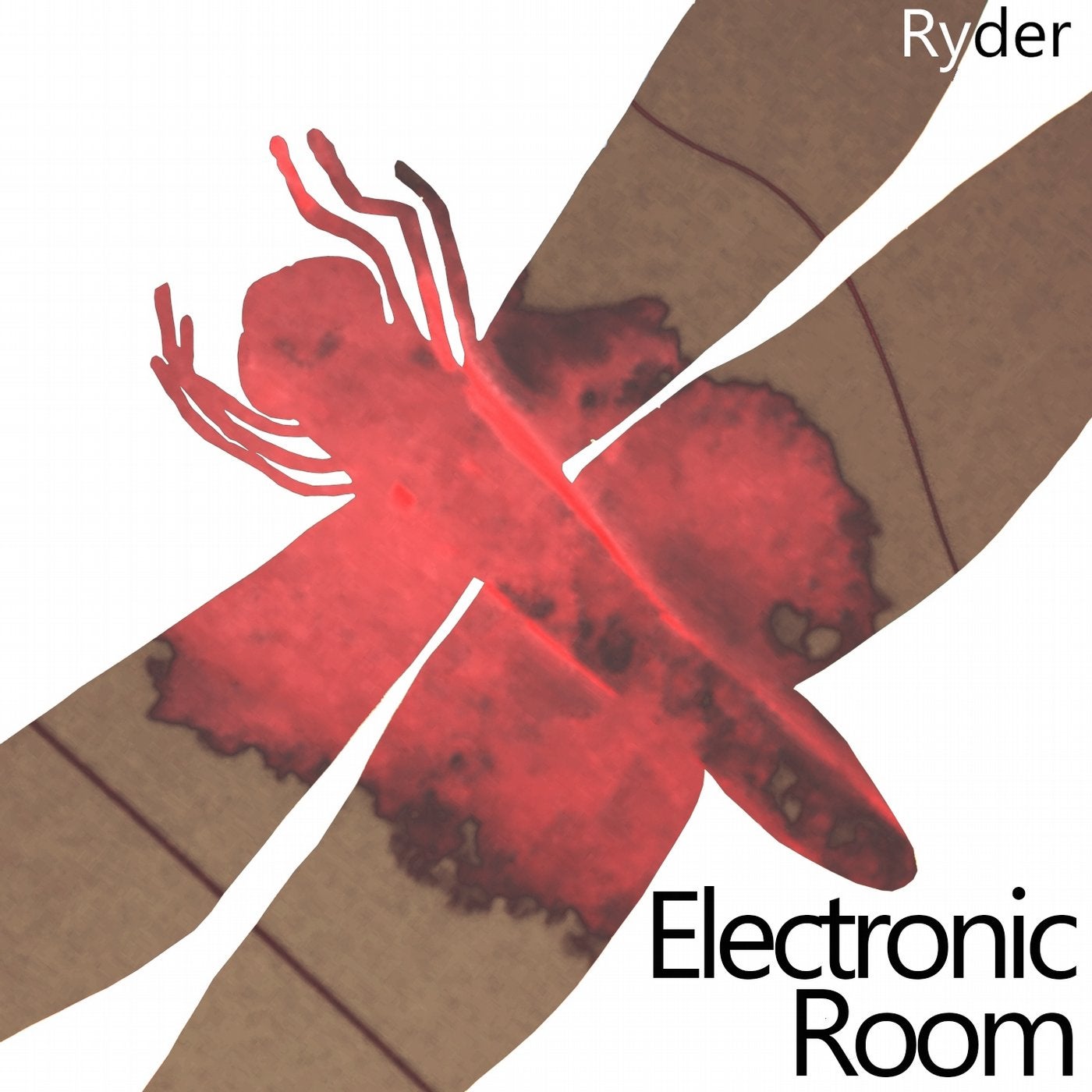 Electronic Room