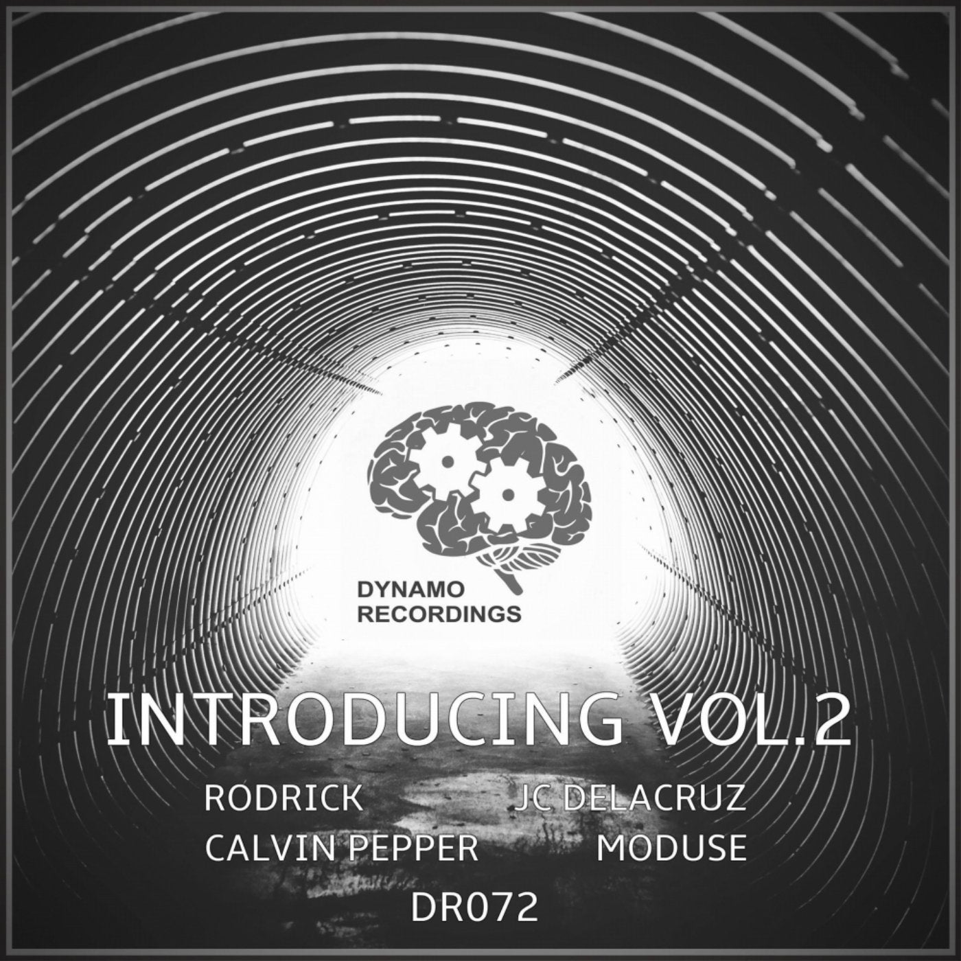 Dynamo Introducing, Vol. 2