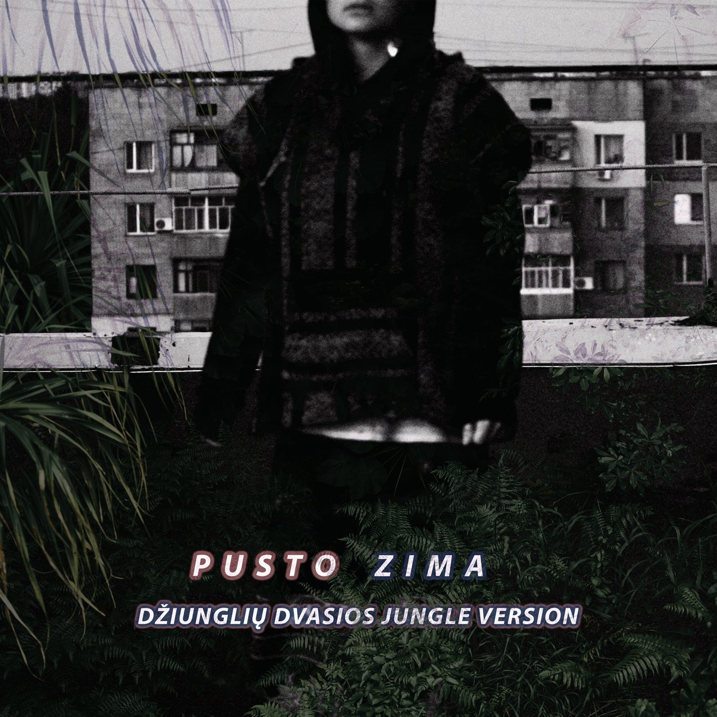 Zima - Jungle Version by Džiunglių Dvasios