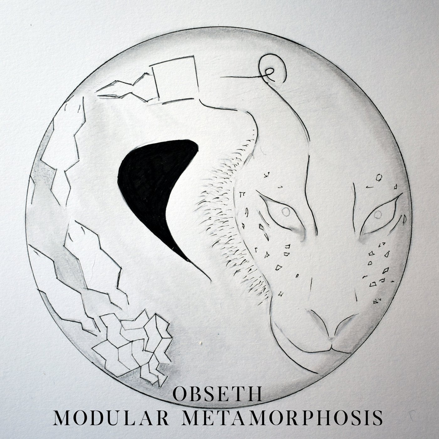 Modular Metamorphosis