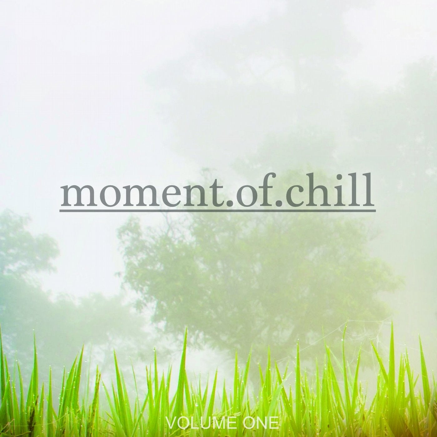 Moment Of Chill, Vol. 1 (Selection Of Finest Ambient & Relaxing Beats)