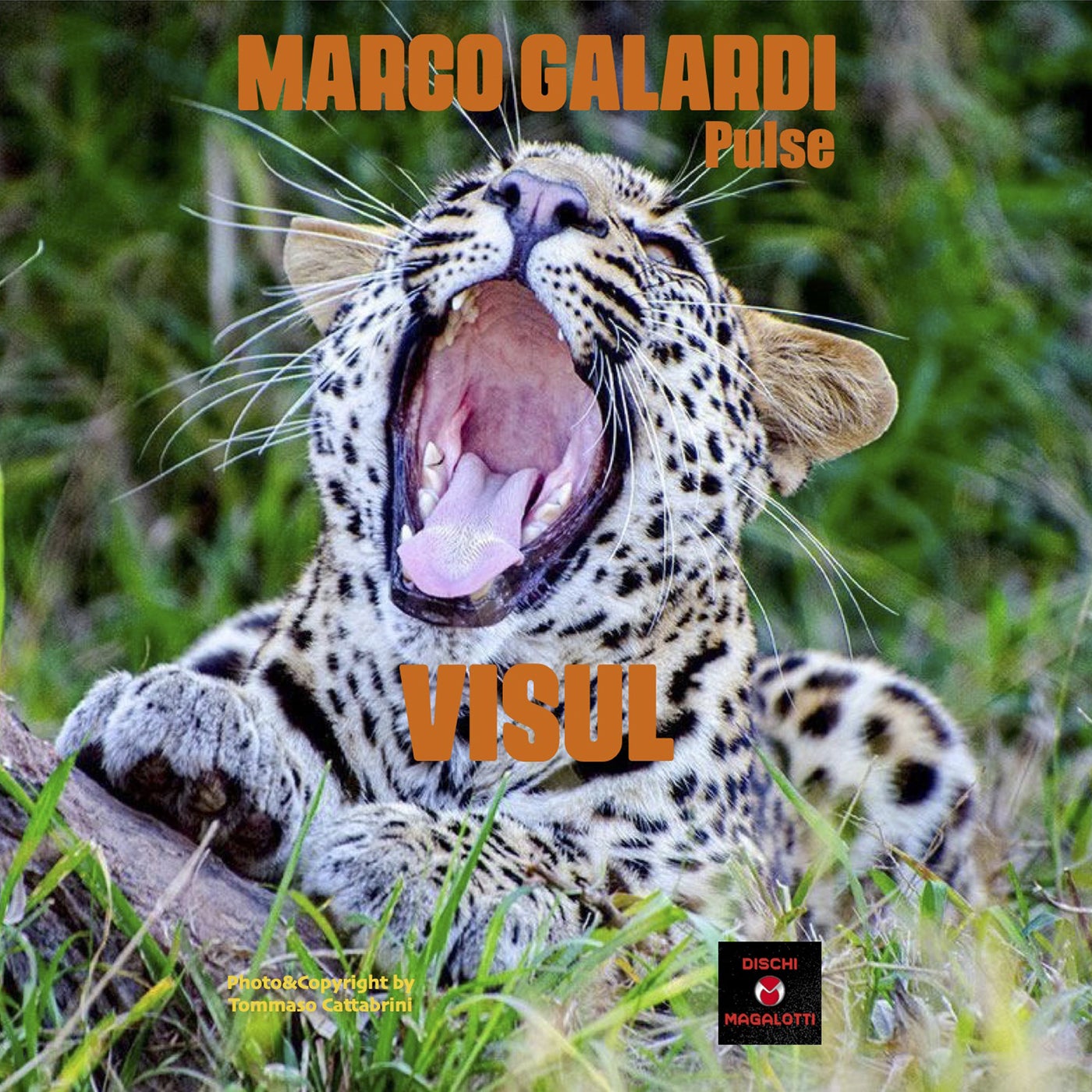Visul