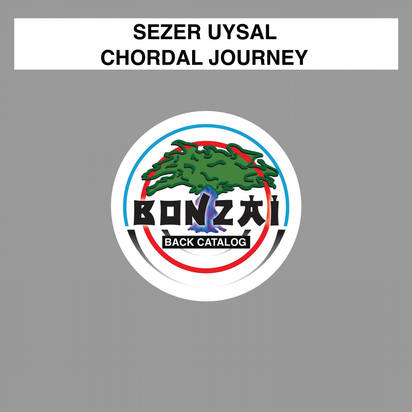 Chordal Journey