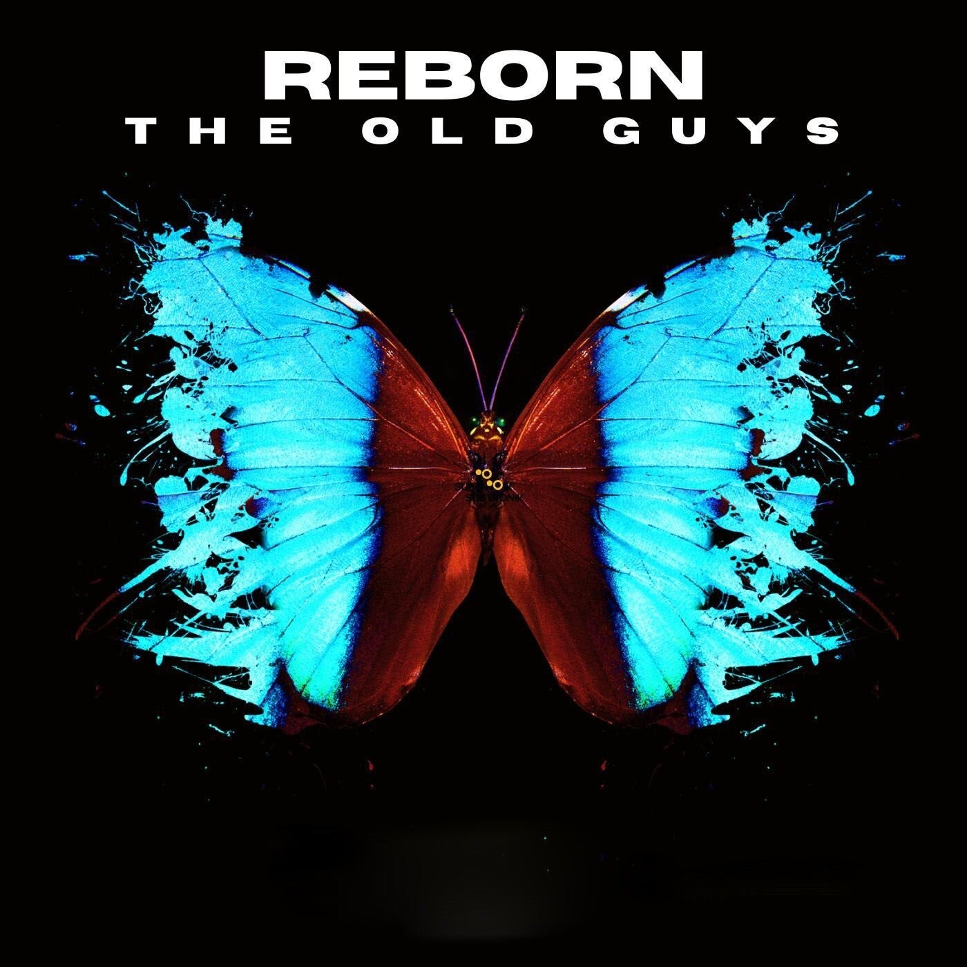 Reborn (Extended Version)
