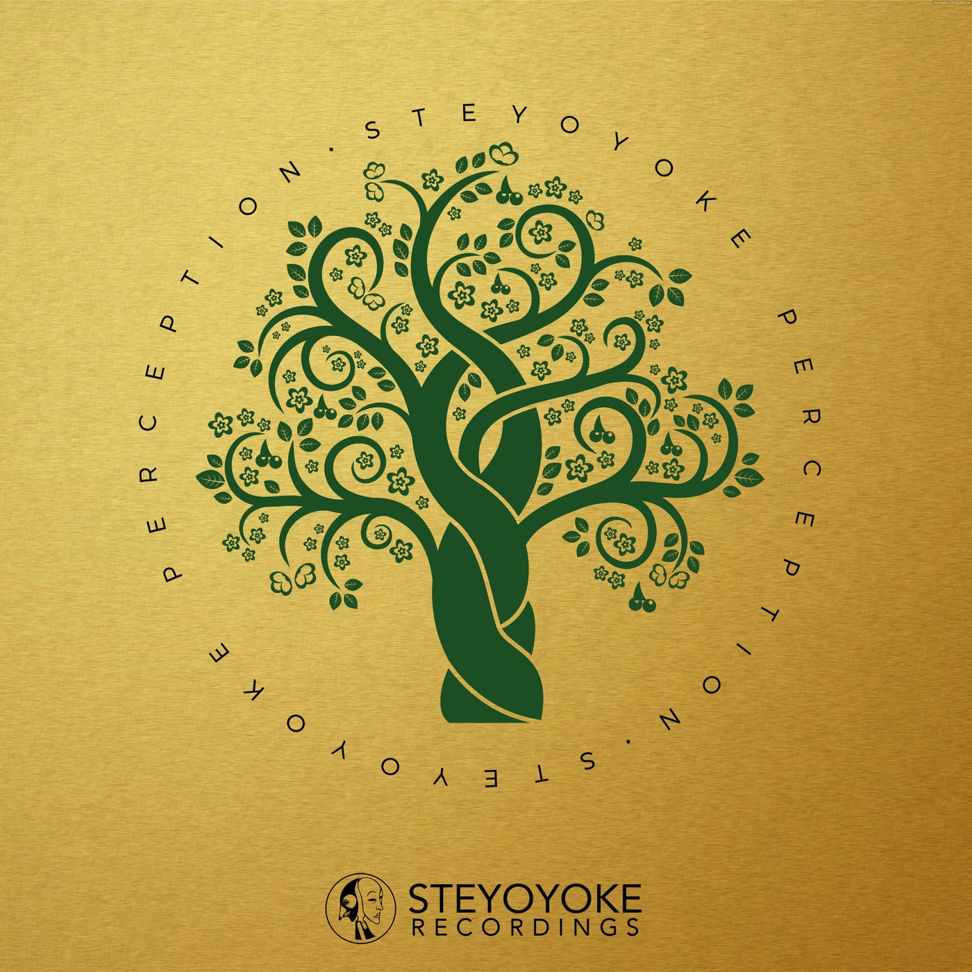 Steyoyoke Perception, Vol. 05