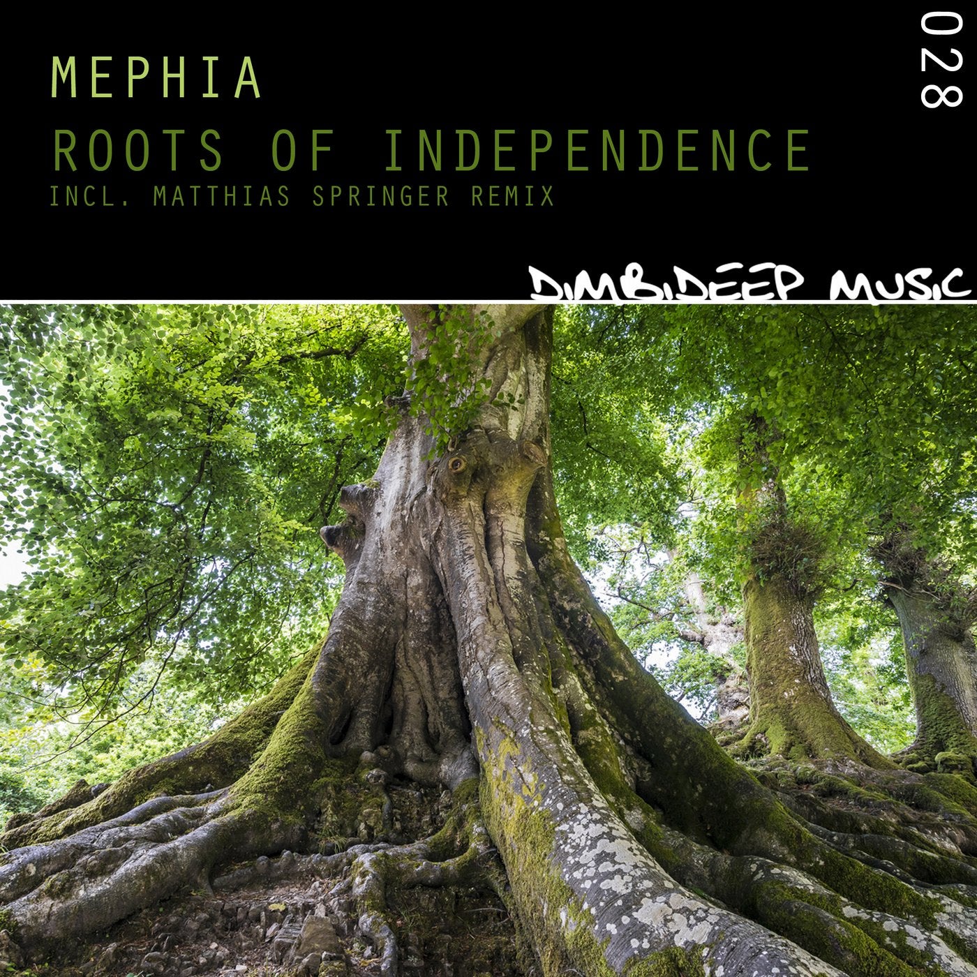 Roots of Independence