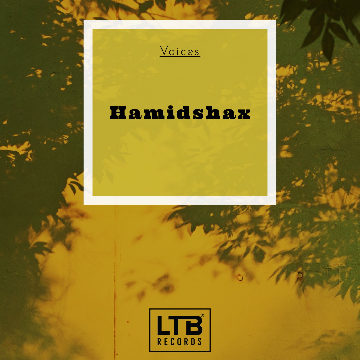 Hamidshax impossible original