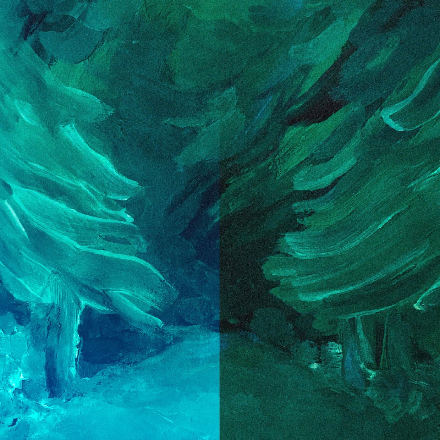 Cosmos