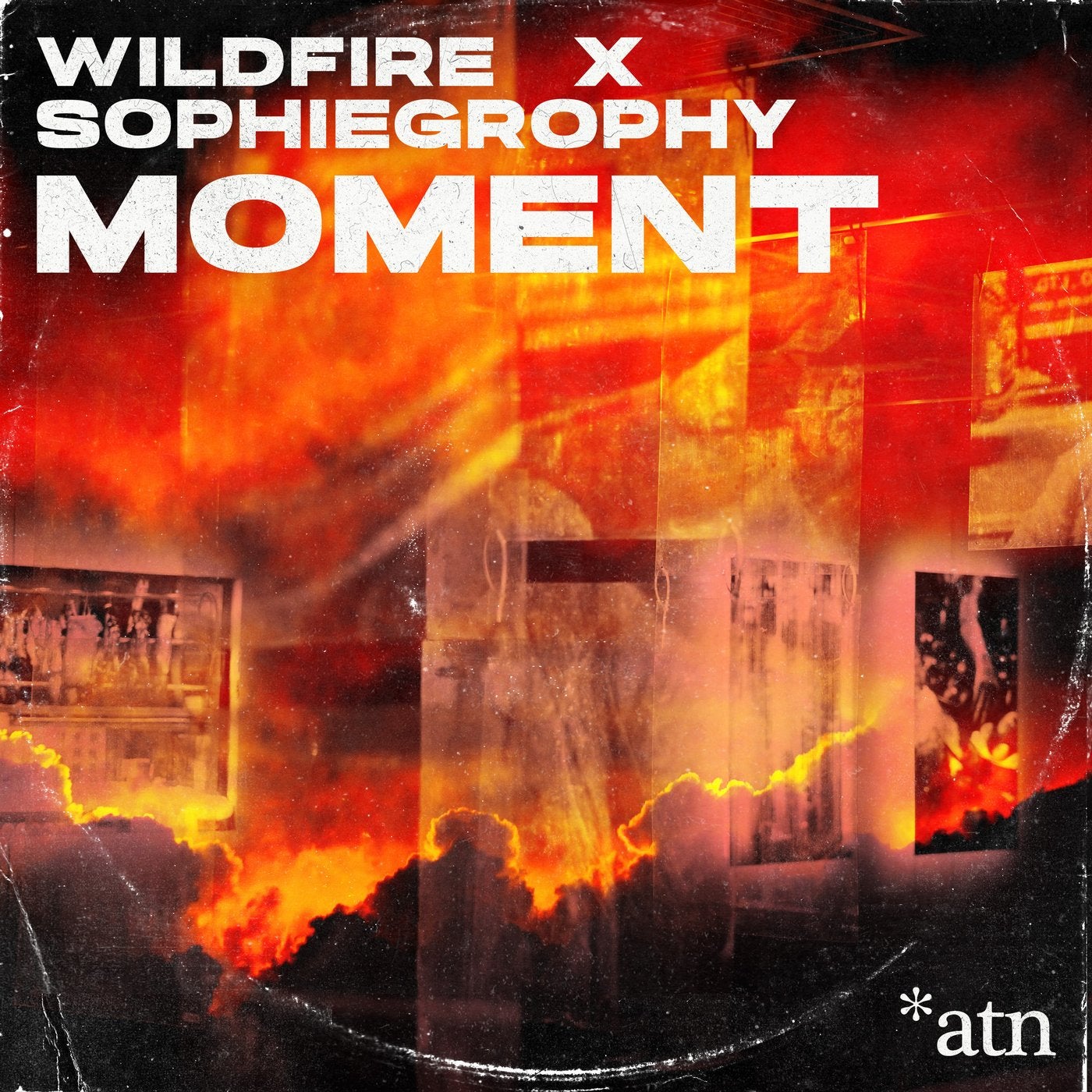 Moment (feat. Sophiegrophy) [Remixes]
