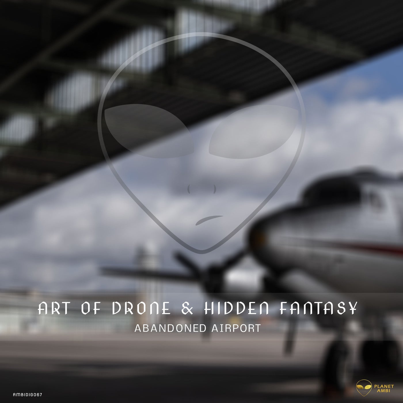 Abandoned Airport