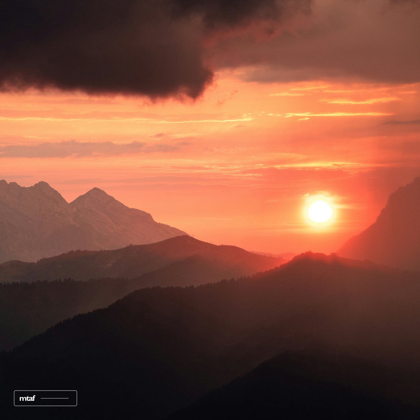 Sunlight
