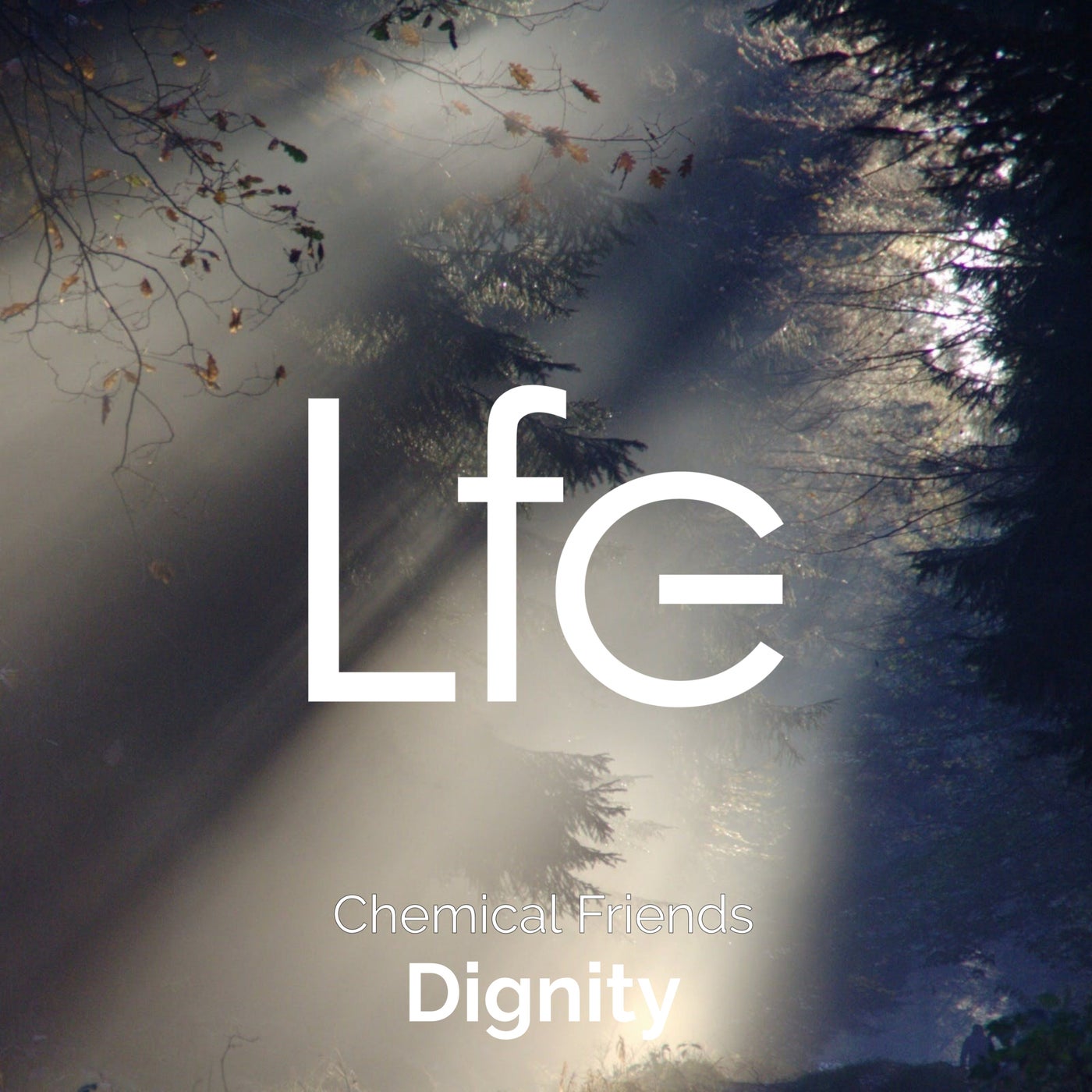 Dignity