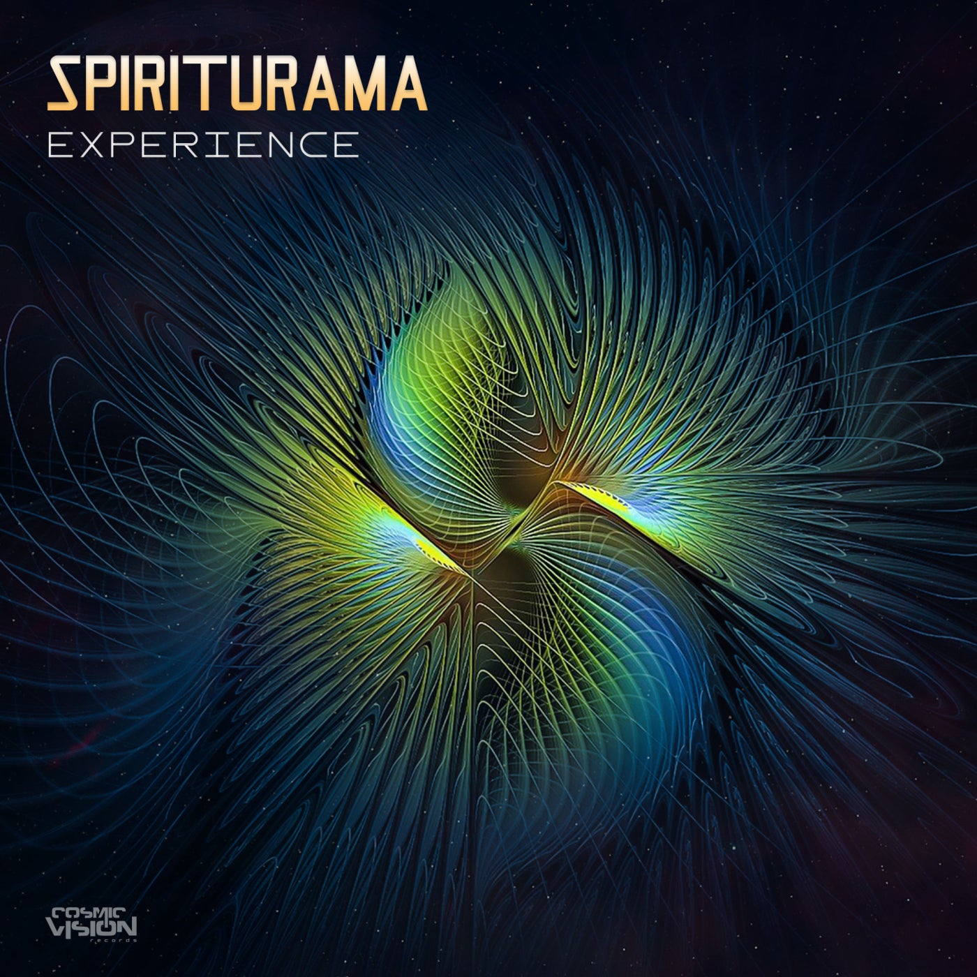 Experience