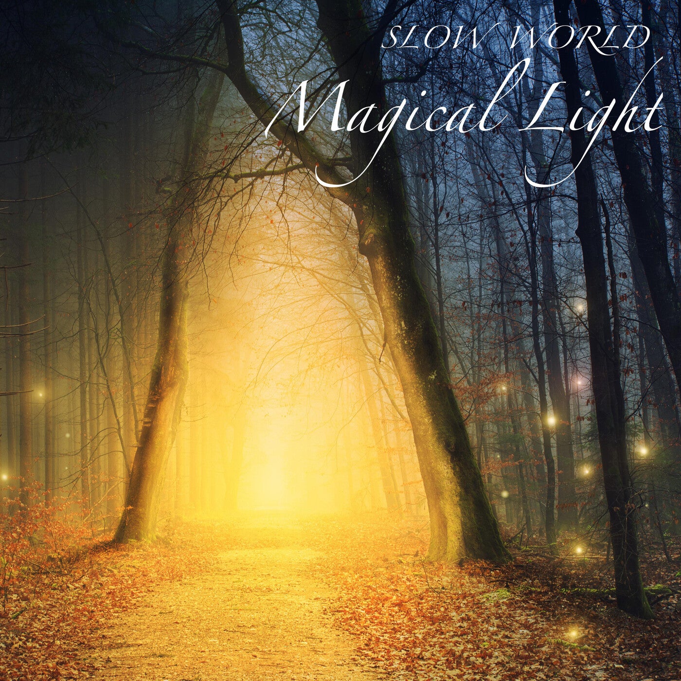 Magical Light