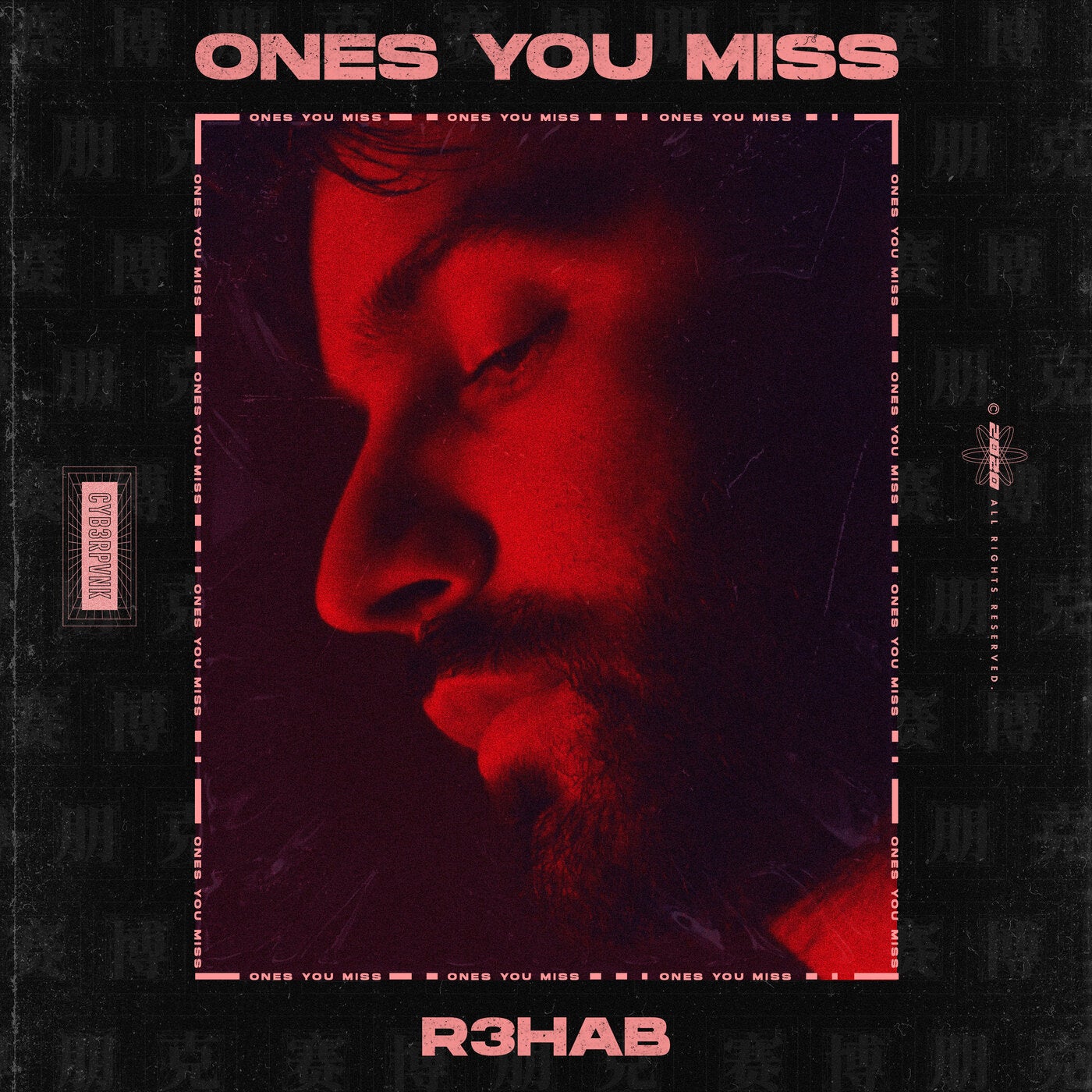 Ones You Miss - Extended Version