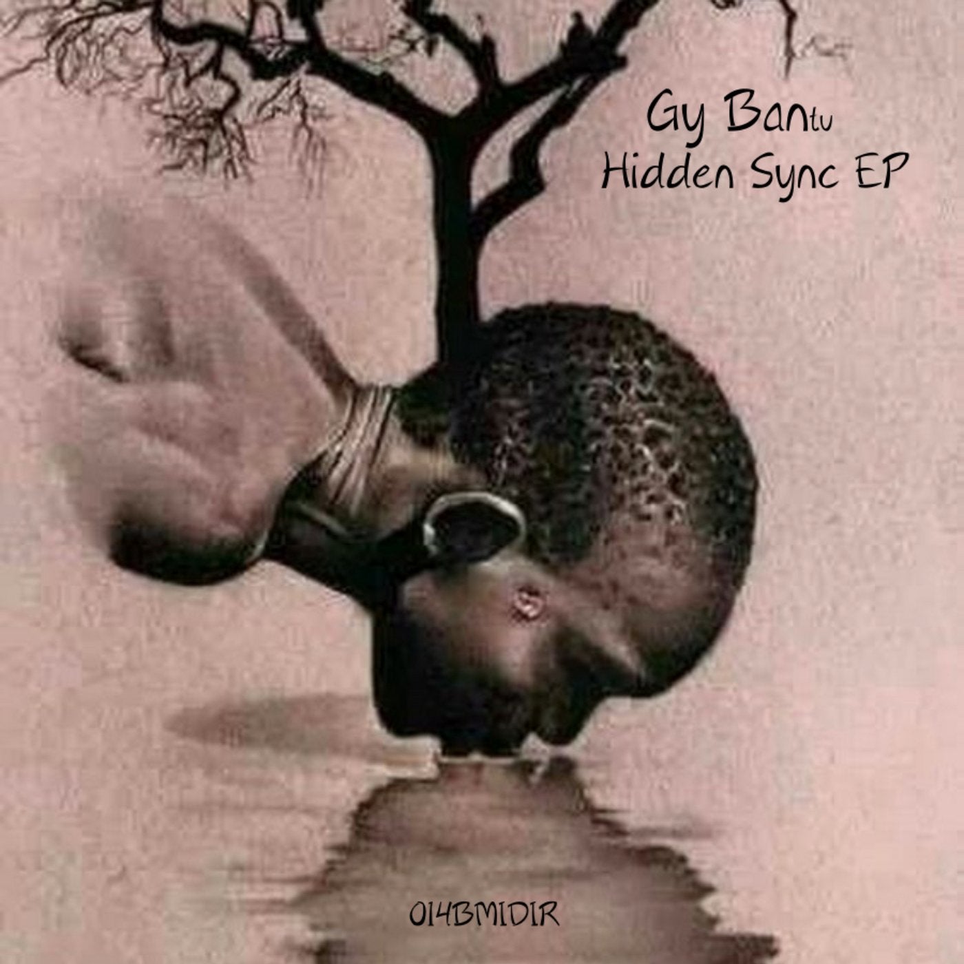 Hidden Sync EP