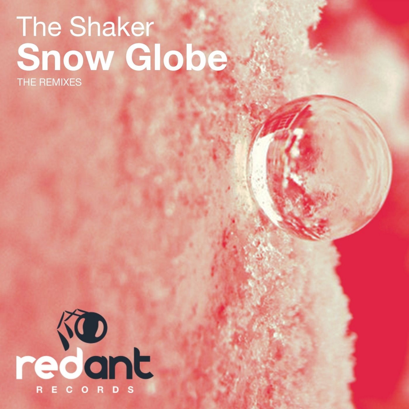 Snow Globe (Remixes)