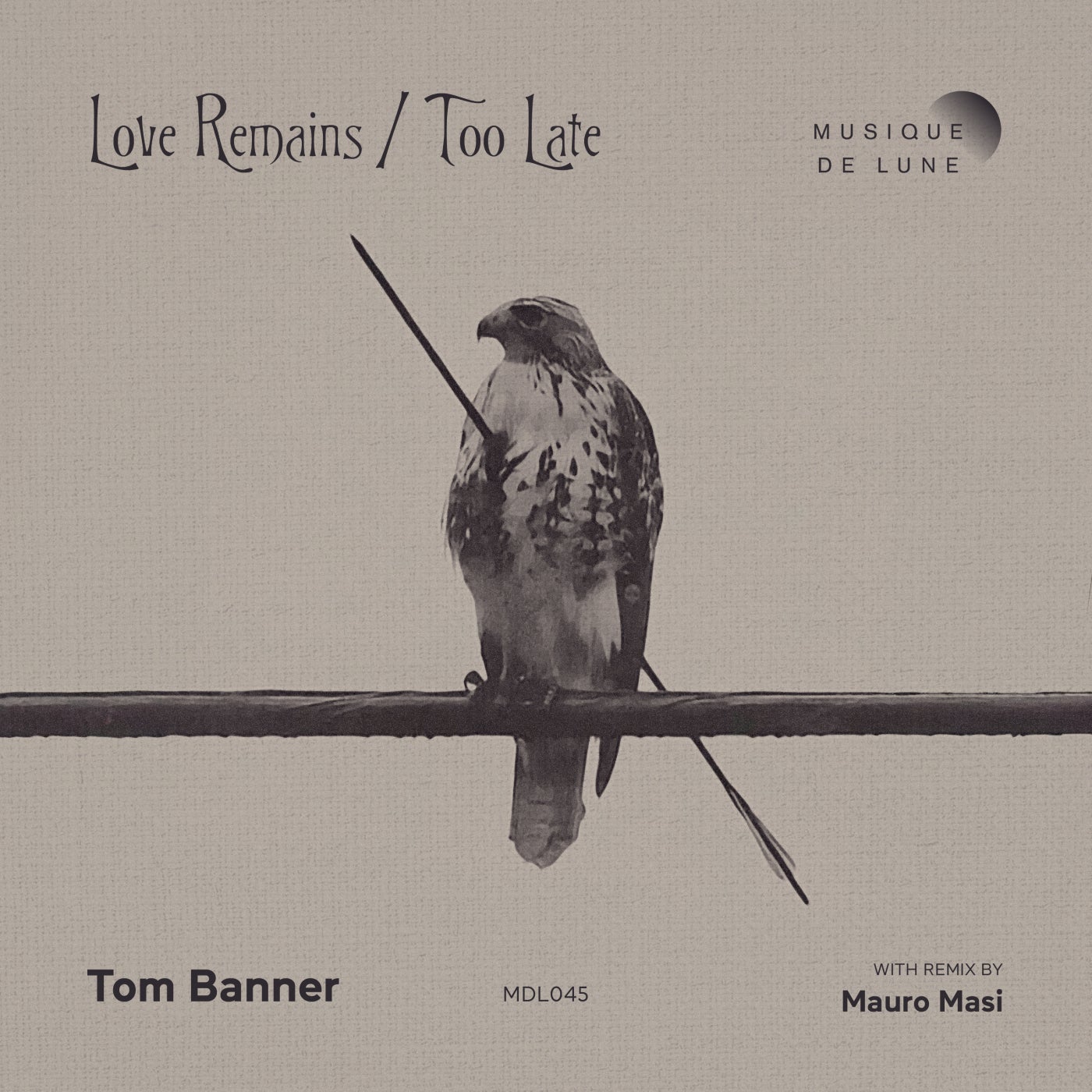 Love Remains / Too Late